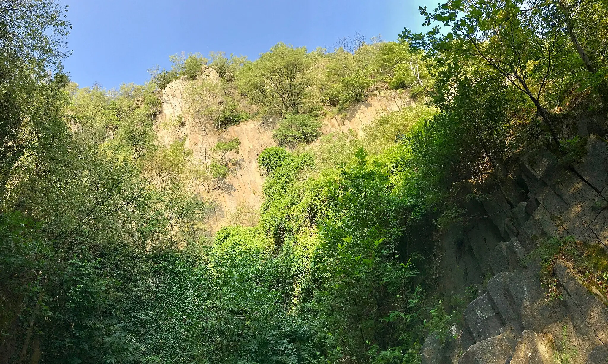 Photo showing: Questa è una foto della cava dismessa di riolite colonnare nel Monte Cinto, nei Colli Euganei. Scattata in estate.