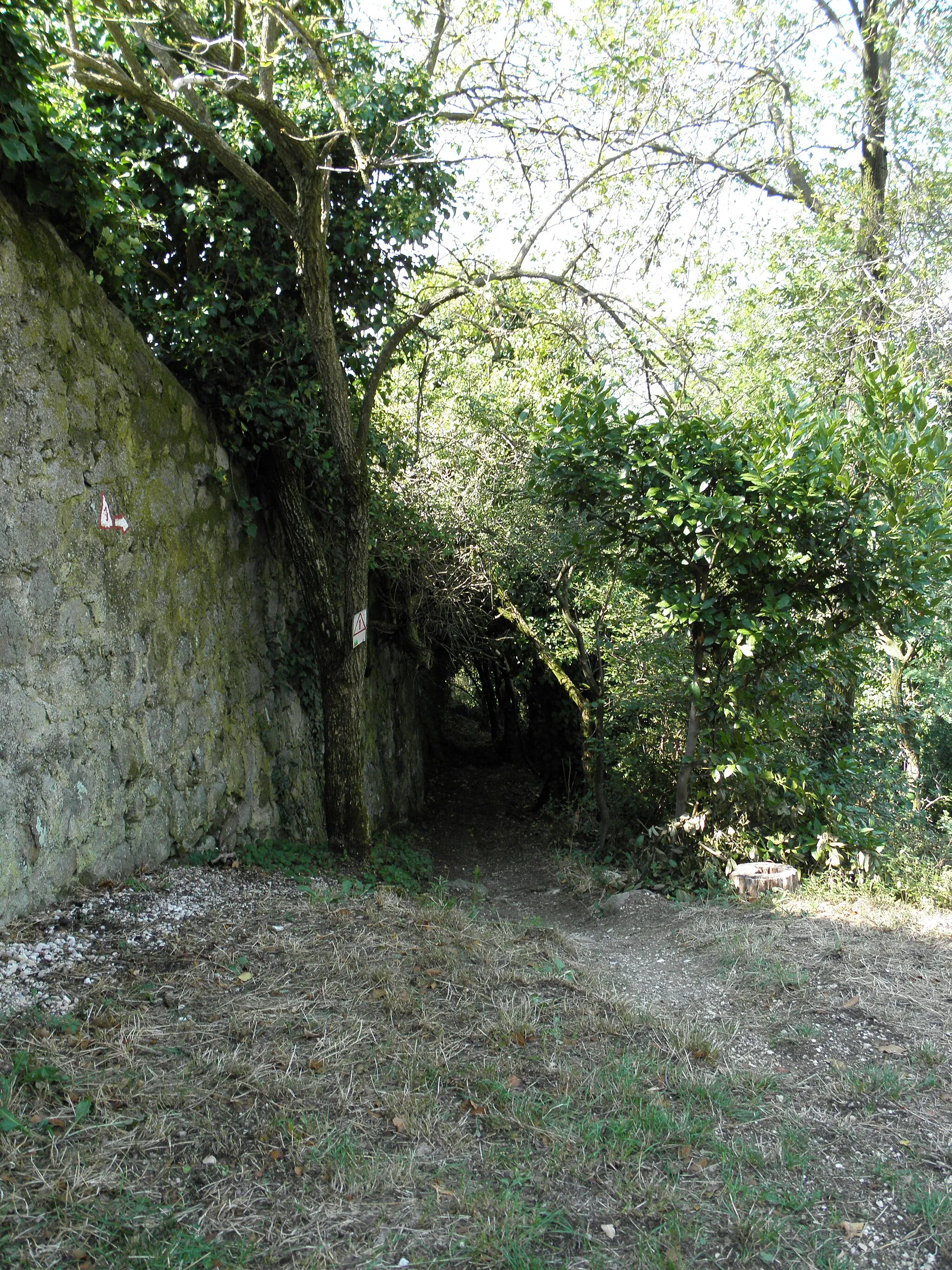 Photo showing: Monte Gemola, sentiero nei pressi del portale di Villa Beatrice d'Este