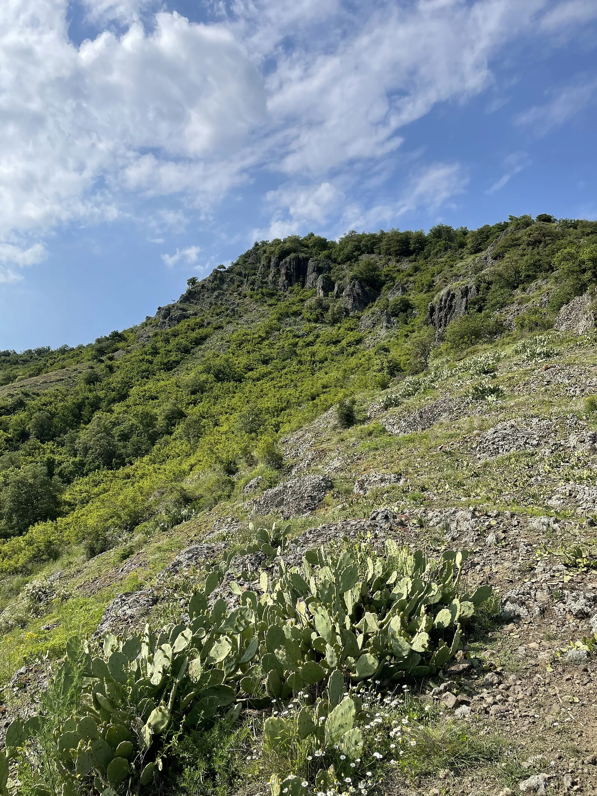 Photo showing: Versante sud del Monte Ceva, sentiero Ferro di Cavallo.
