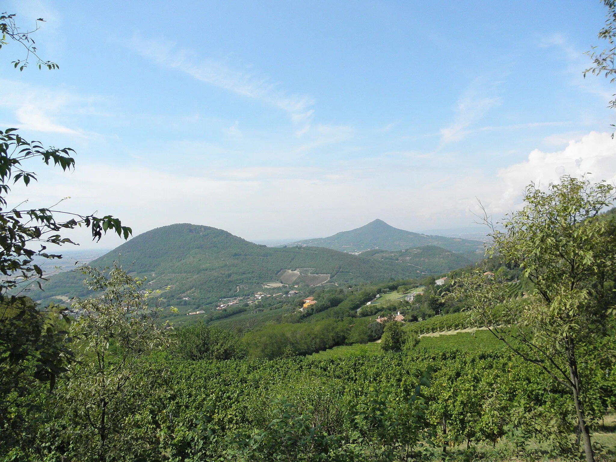Photo showing: Paesaggi dei Colli Euganei visti dal Monte Rusta.