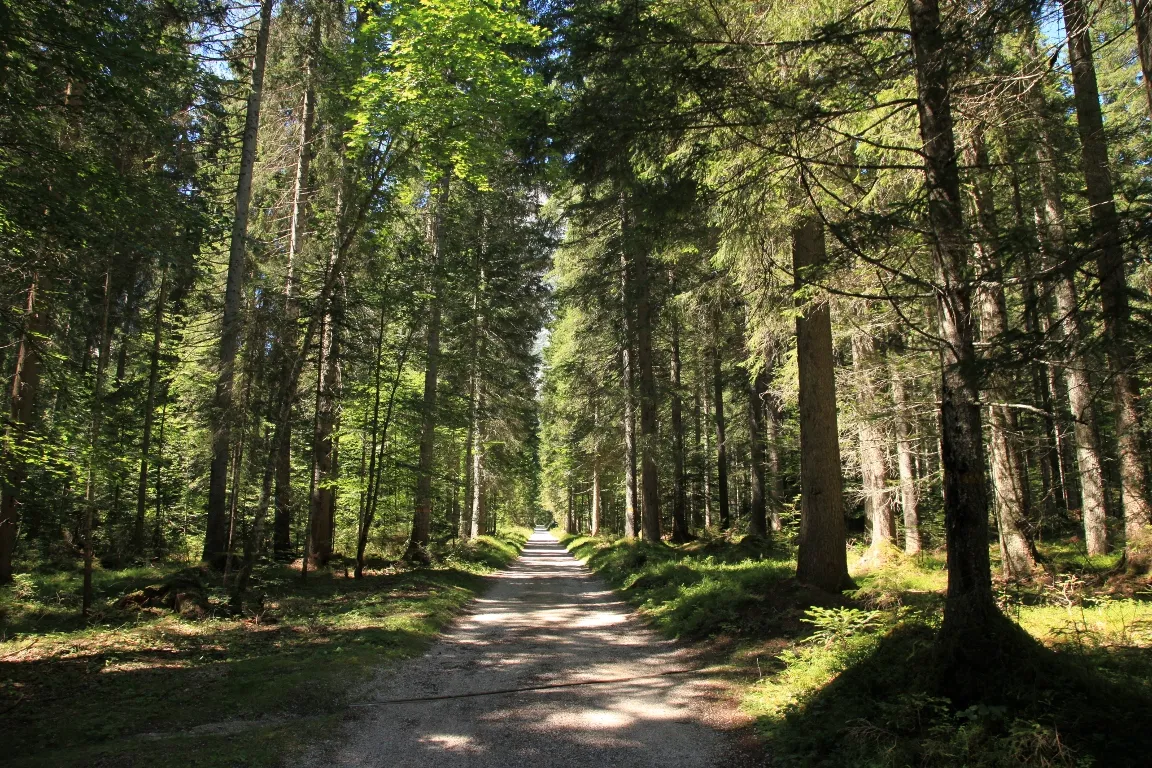 Photo showing: Dolomiti 07/2010