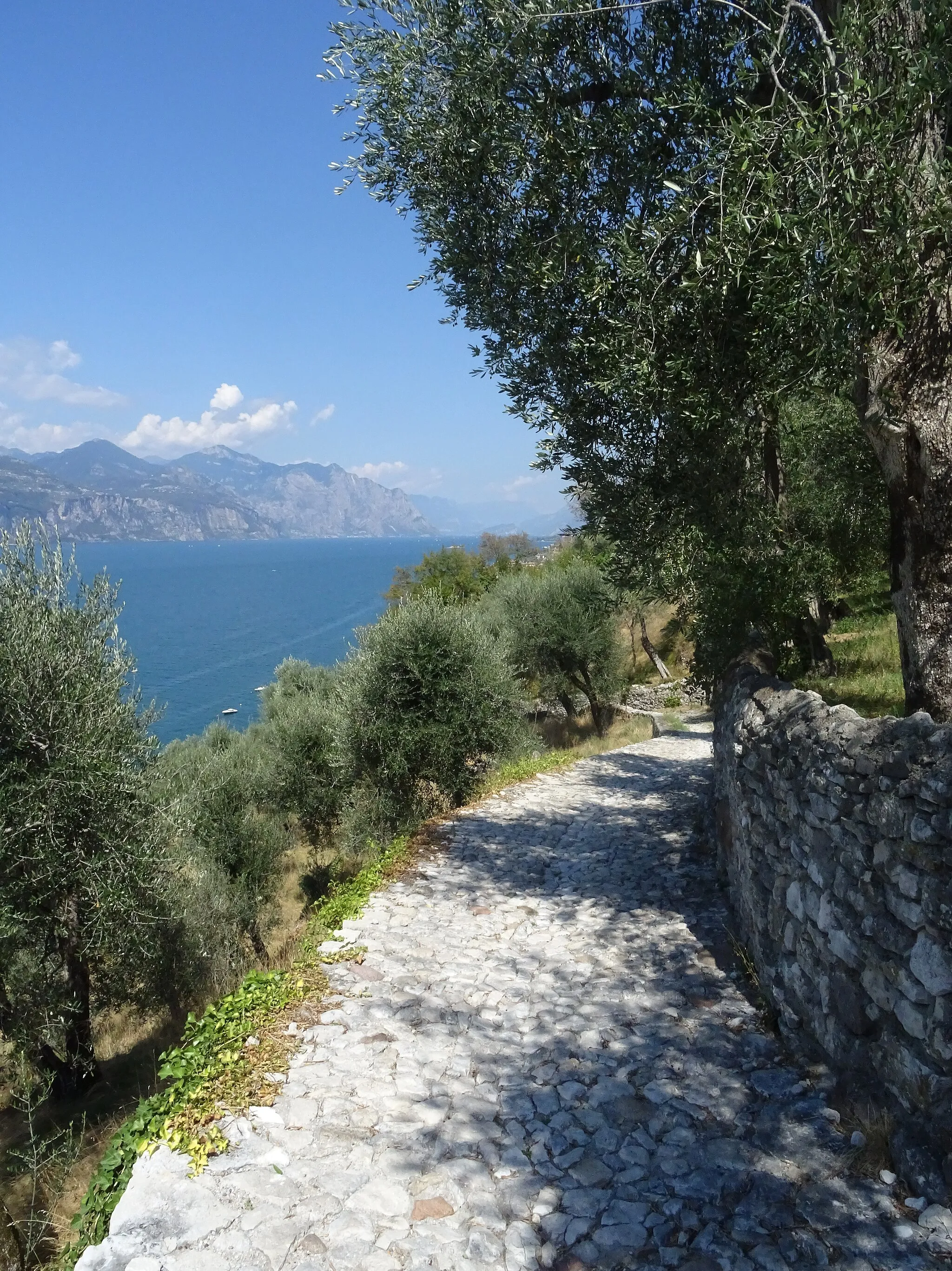 Photo showing: Path near Marniga (Brenzone sul Garda, Veneto, Italy)