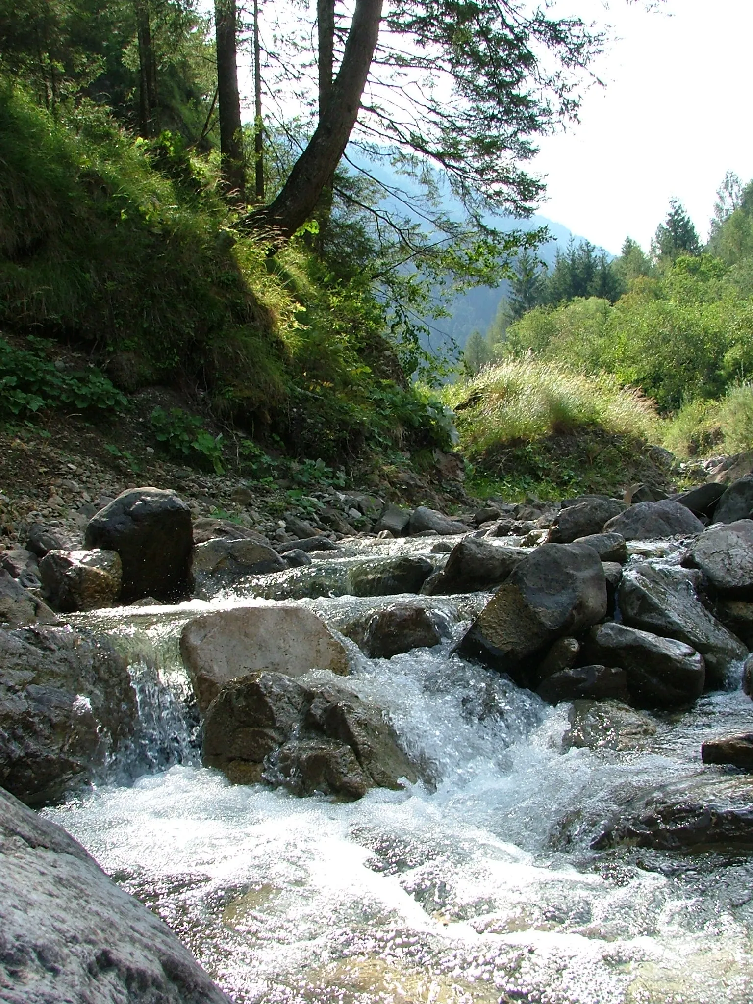 Photo showing: Rio Rin (Rin creek) in Lozzo di Cadore, Dolomites, Belluno, Italy