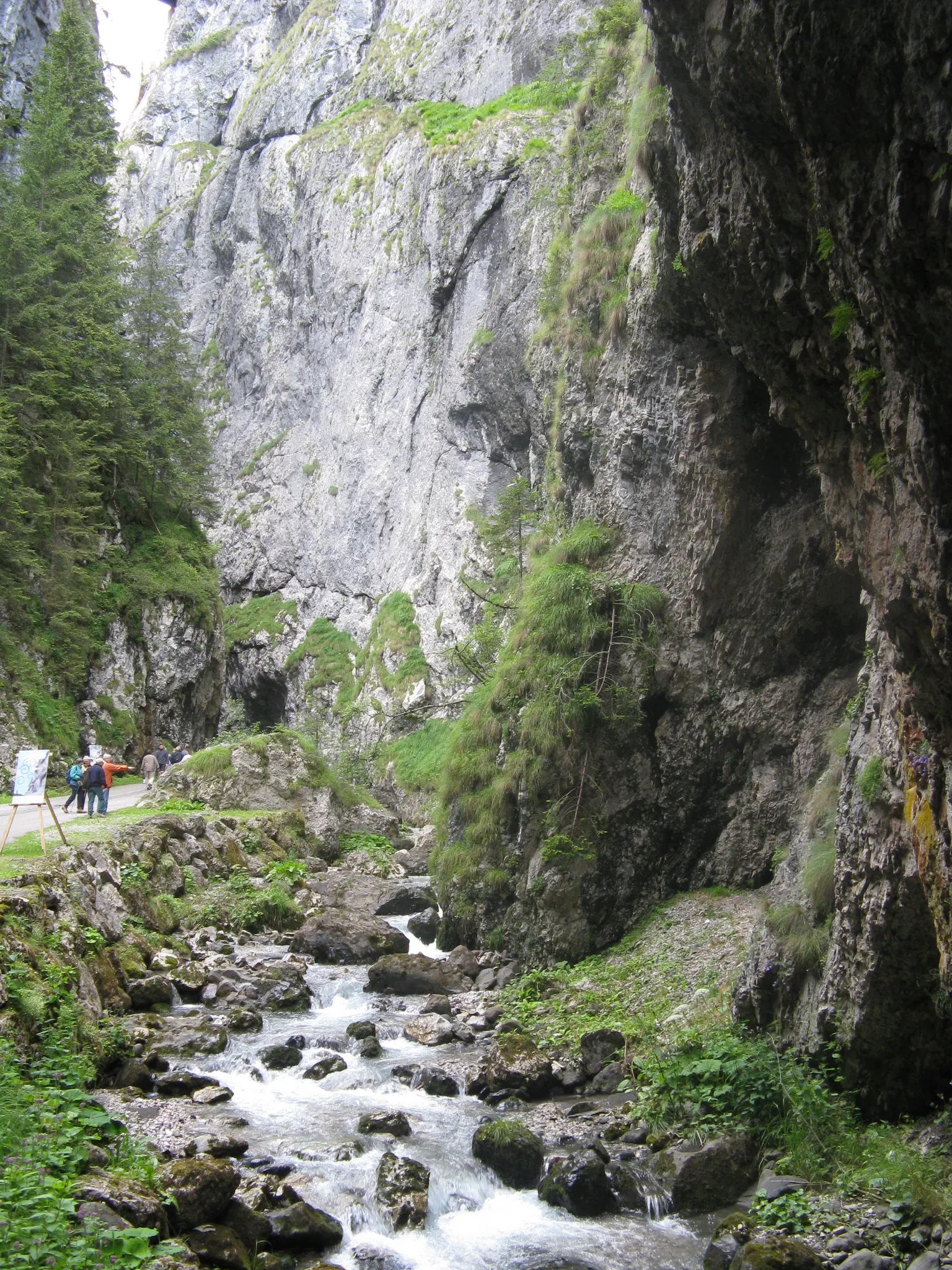 Photo showing: Serrai Gorge, Rocca Pietore/Italy