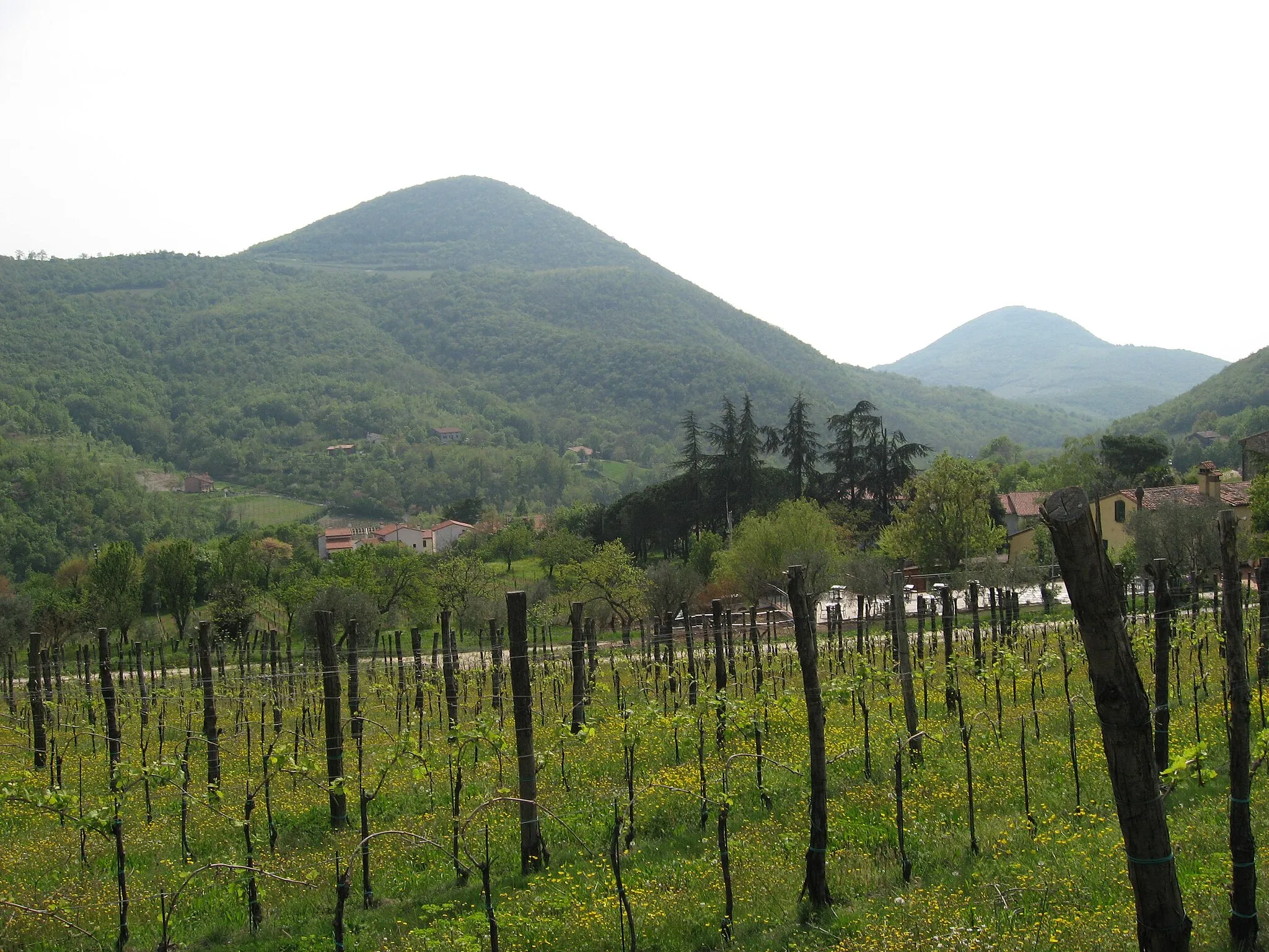 Photo showing: Veduta del Monte Rusta dalla valle di Faedo.