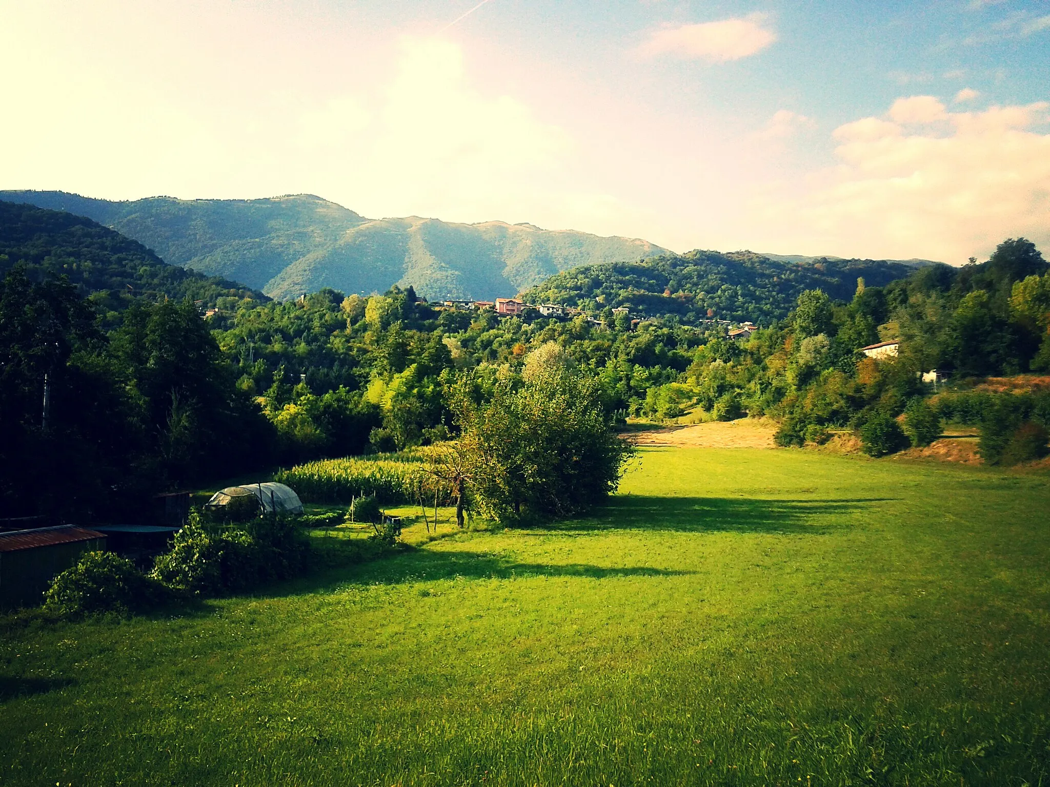 Photo showing: Paesaggio collinare di Tarzo