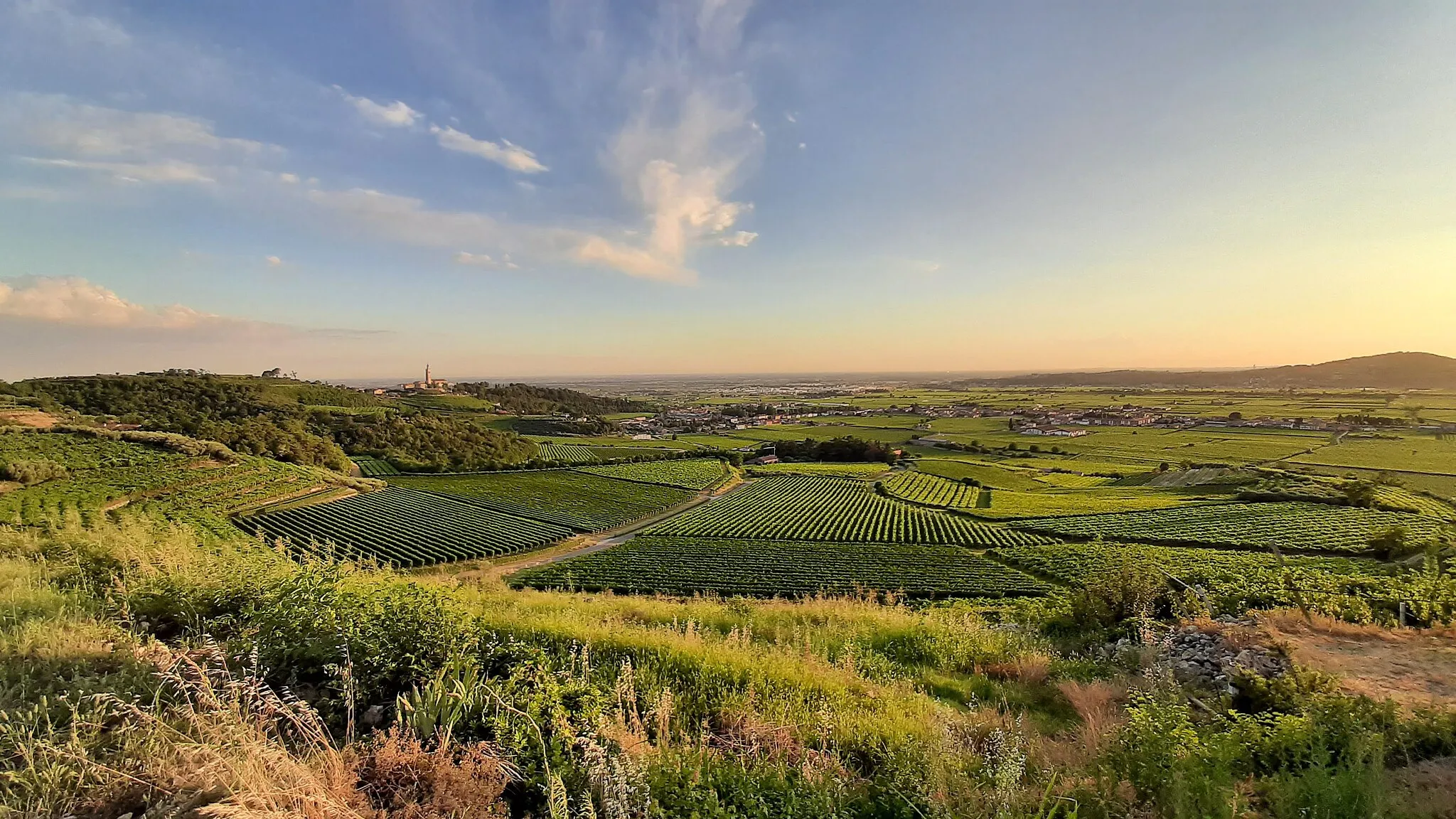 Photo showing: Foto panoramica del Comune di Colognola ai Colli (VR).
A sinistra si nota la chiesa parrocchiale dei Santi Fermo e Rustico in località Monte.