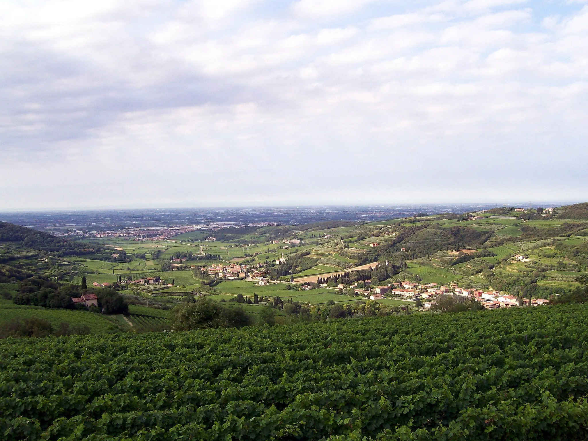 Photo showing: Veduta del paese di Marcellise, frazione del Comune di S. Martino Buon Albergo (VR).