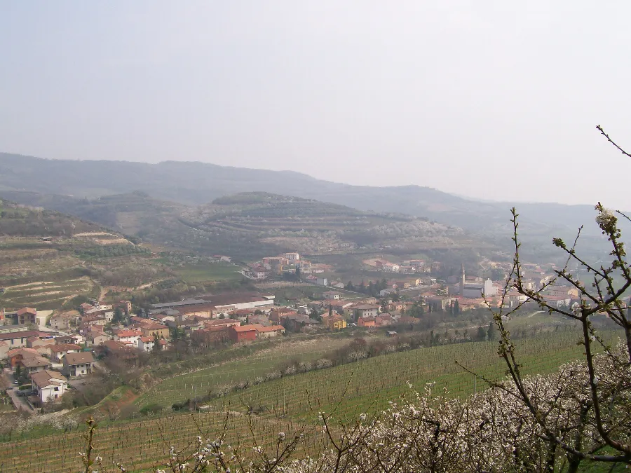 Photo showing: Veduta di Cazzano di Tramigna all'inizio del periodo fioritura dei ciliegi