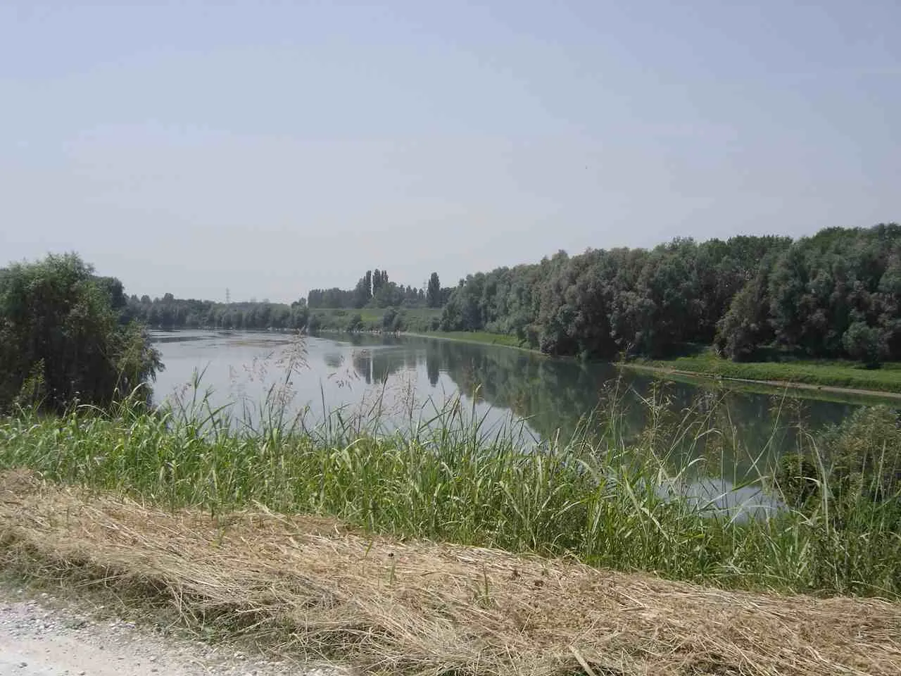 Photo showing: Adige near Bonavigo