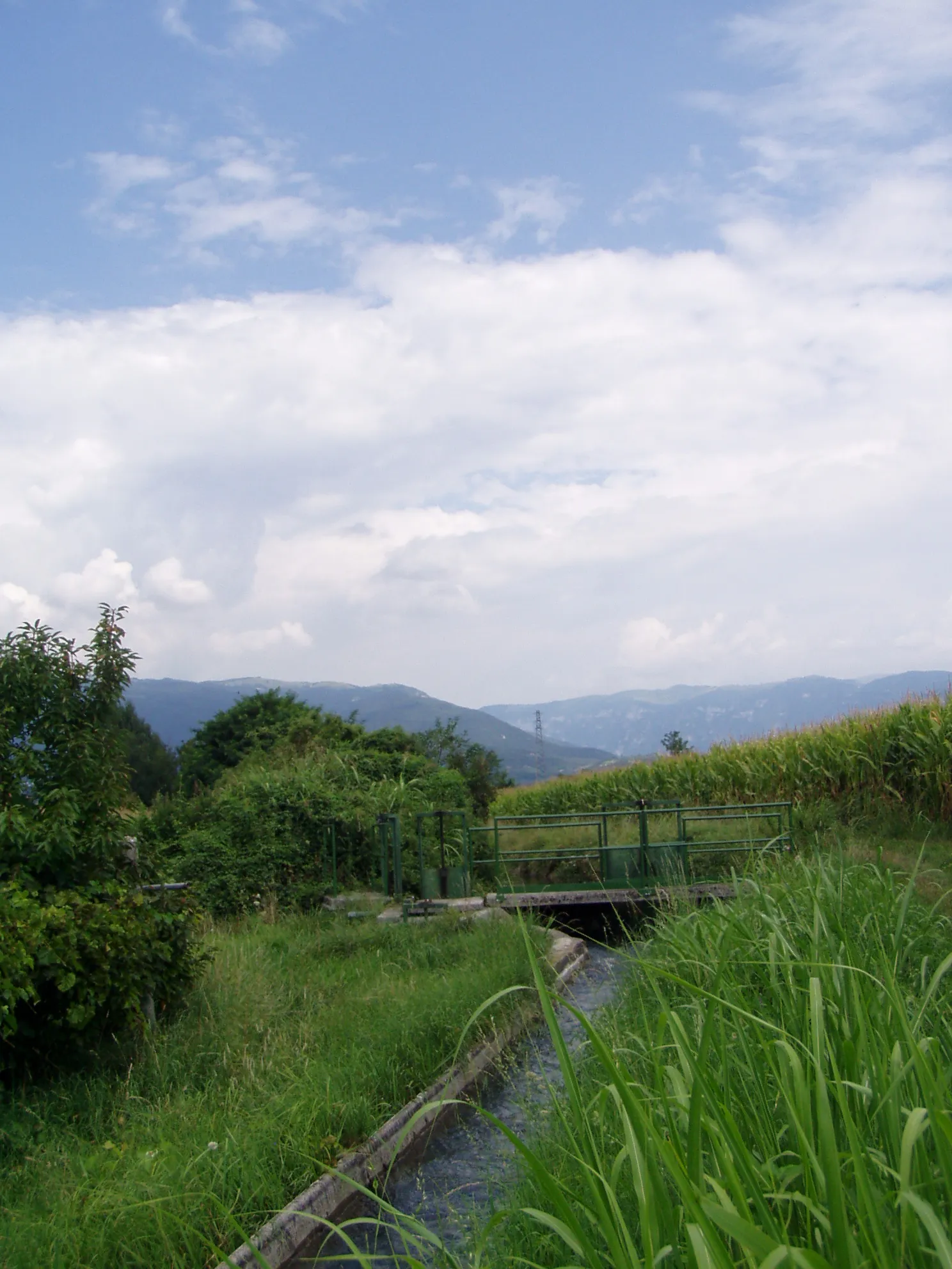 Photo showing: A "rosta" (Venetian for irrigation ditch) flowing in Parco delle Rogge rural Park, Bassano del Grappa.
In the background, the Asiago plateau or "Sette Comuni" plateau (on the left) and Grappa mountain (on the right)