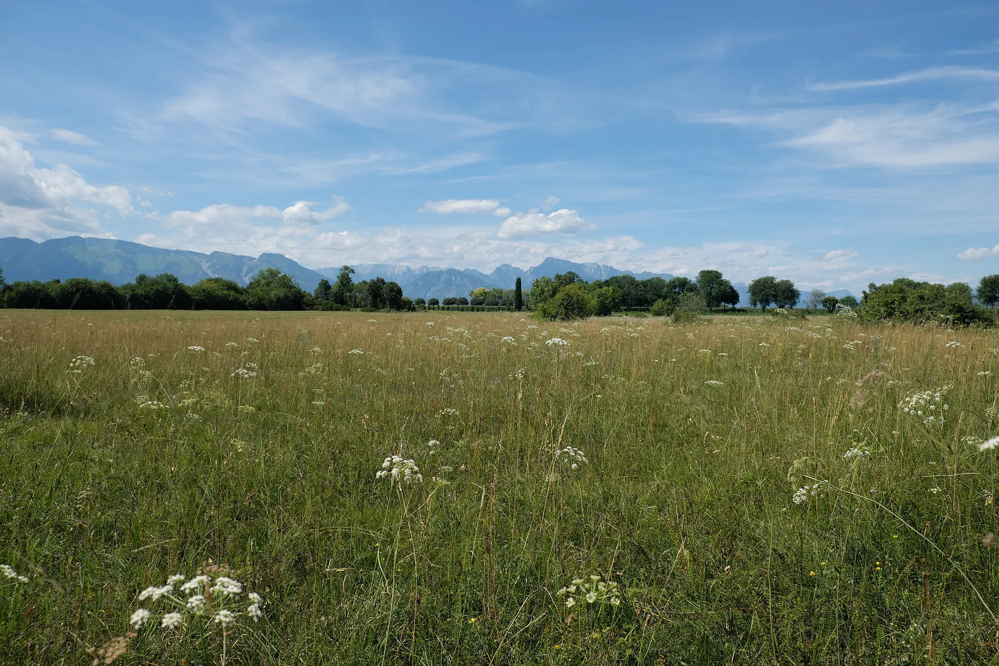 Photo showing: Magredi of San Quirino (Q3640260), the Alps are visible in the background.