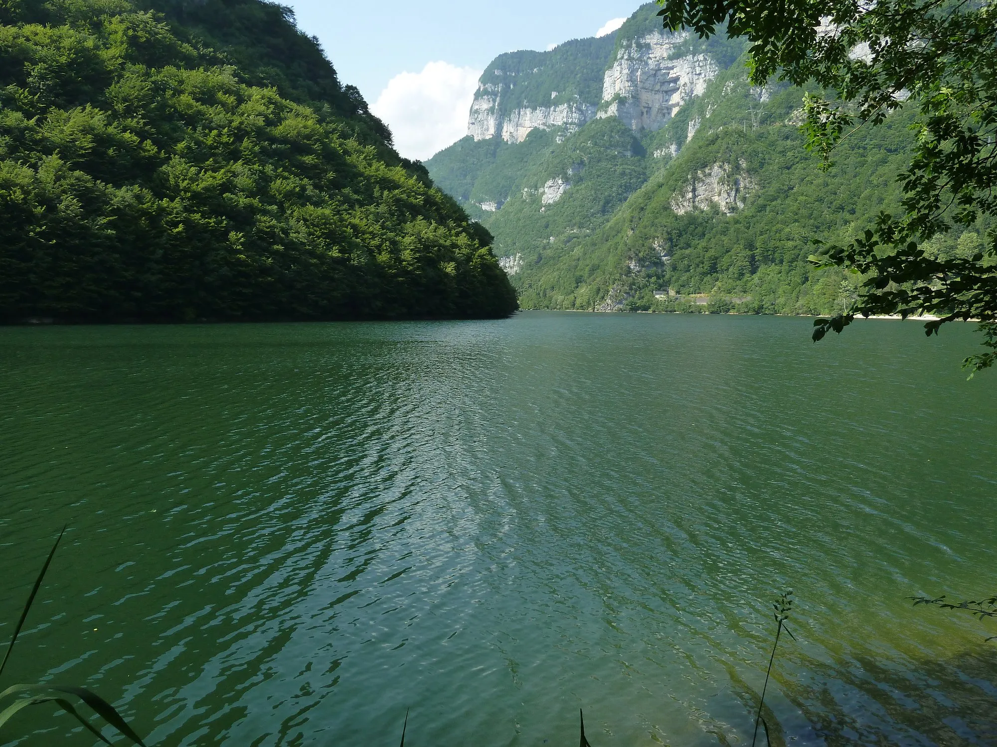 Photo showing: Lake Schenèr, near Imer (Trento), Trentino Alto Adige, Italy. Northward view of the narrow valley.