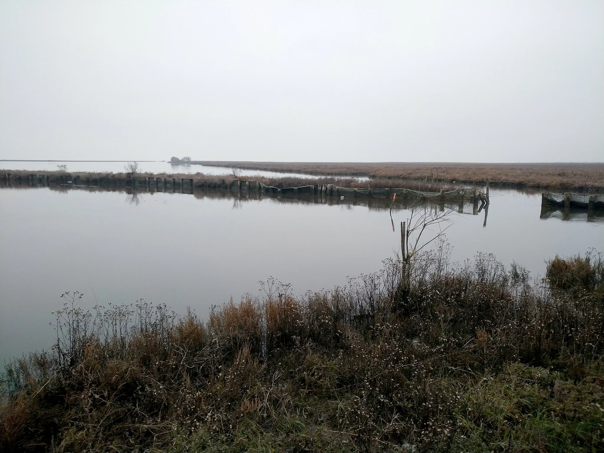 Photo showing: Panorama dal Cason delle Sacche verso Valle Mille Campi a sud