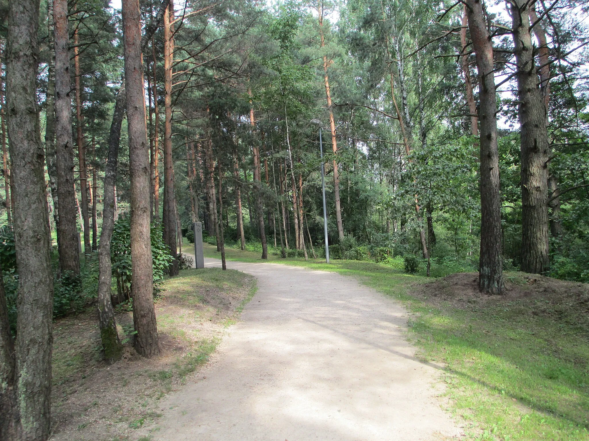 Photo showing: rumbual forest-the way to the slaughter pits