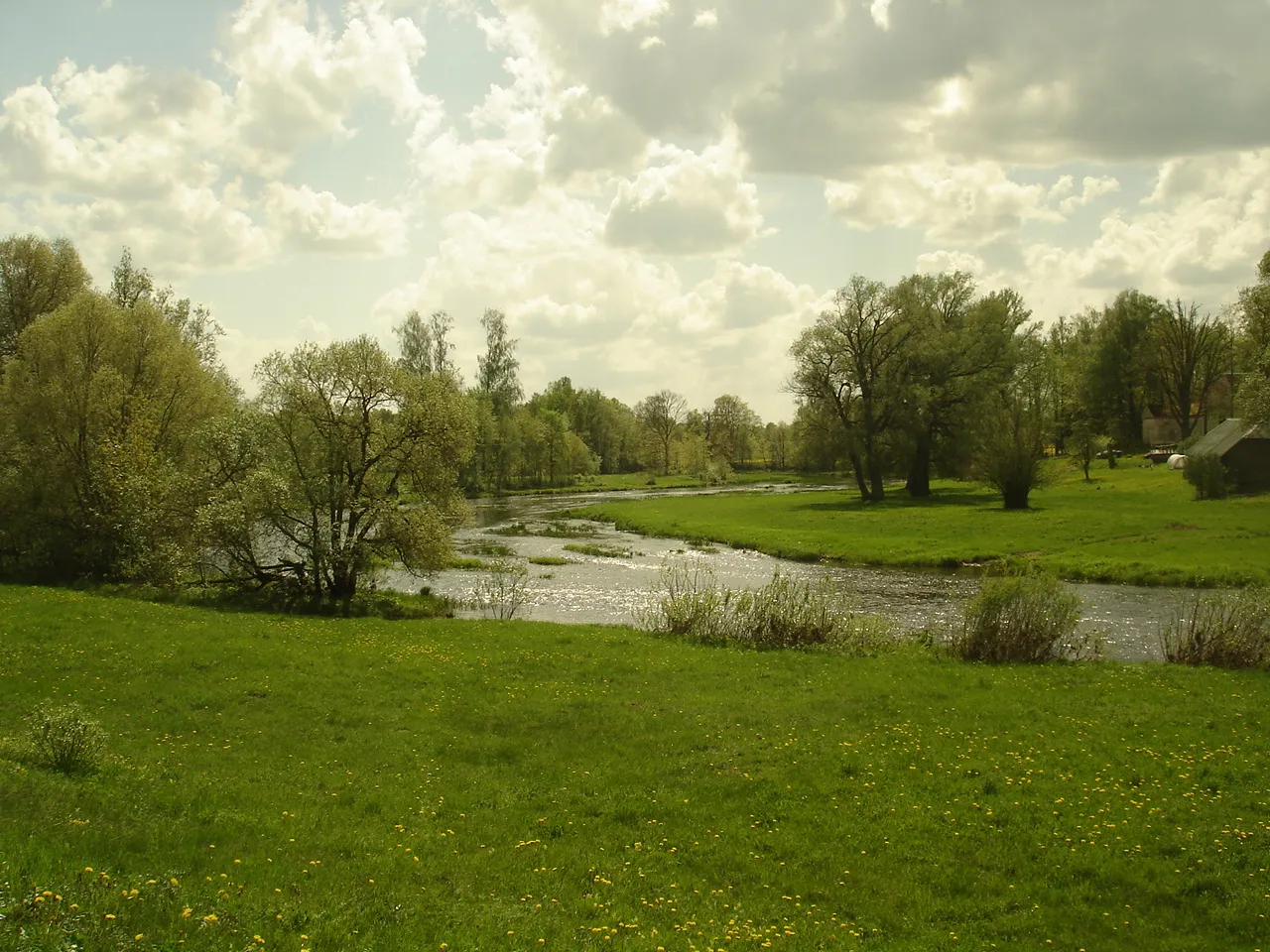 Photo showing: Диенвидсусея