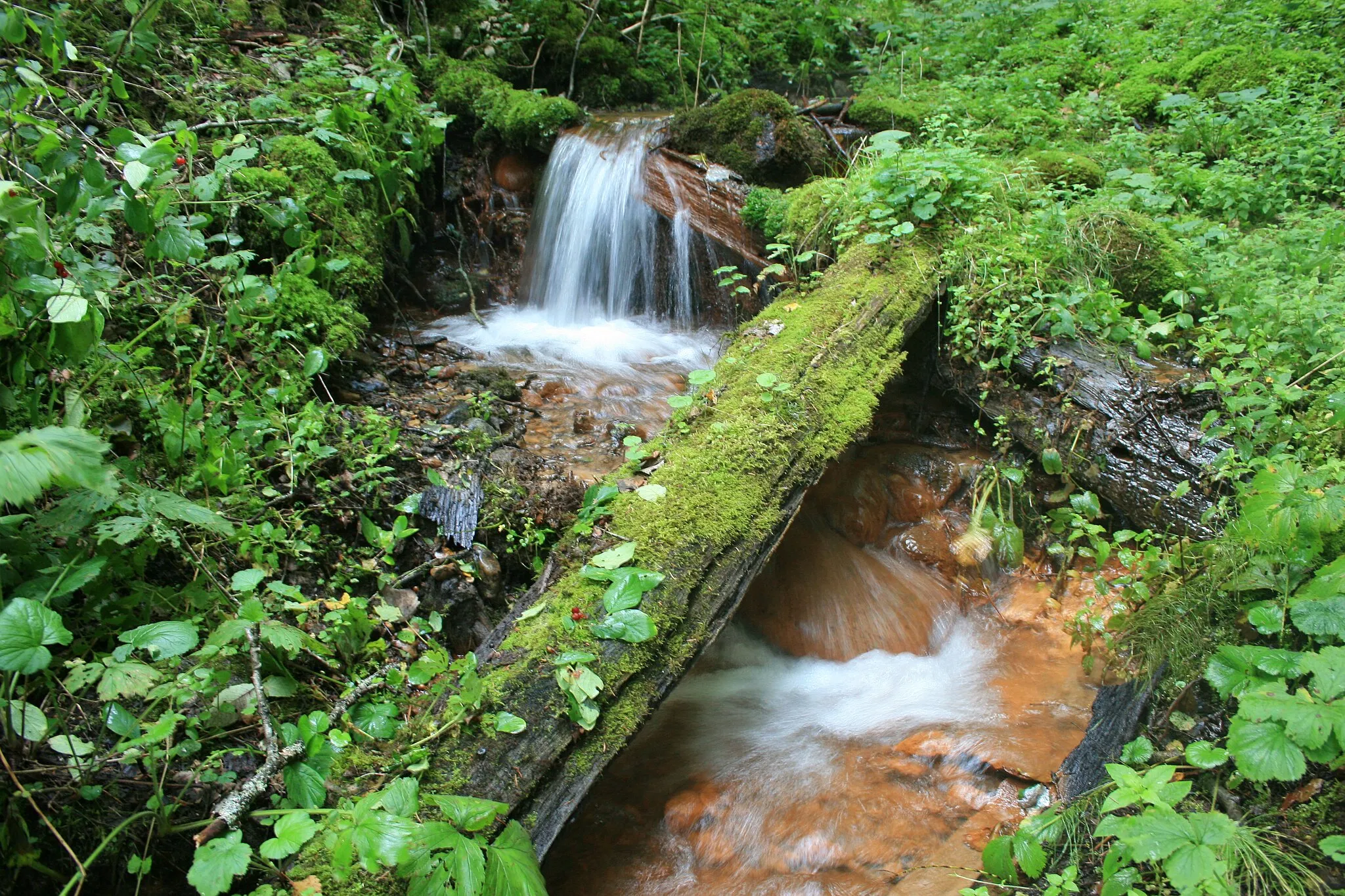 Photo showing: Rutkaviņu avoti