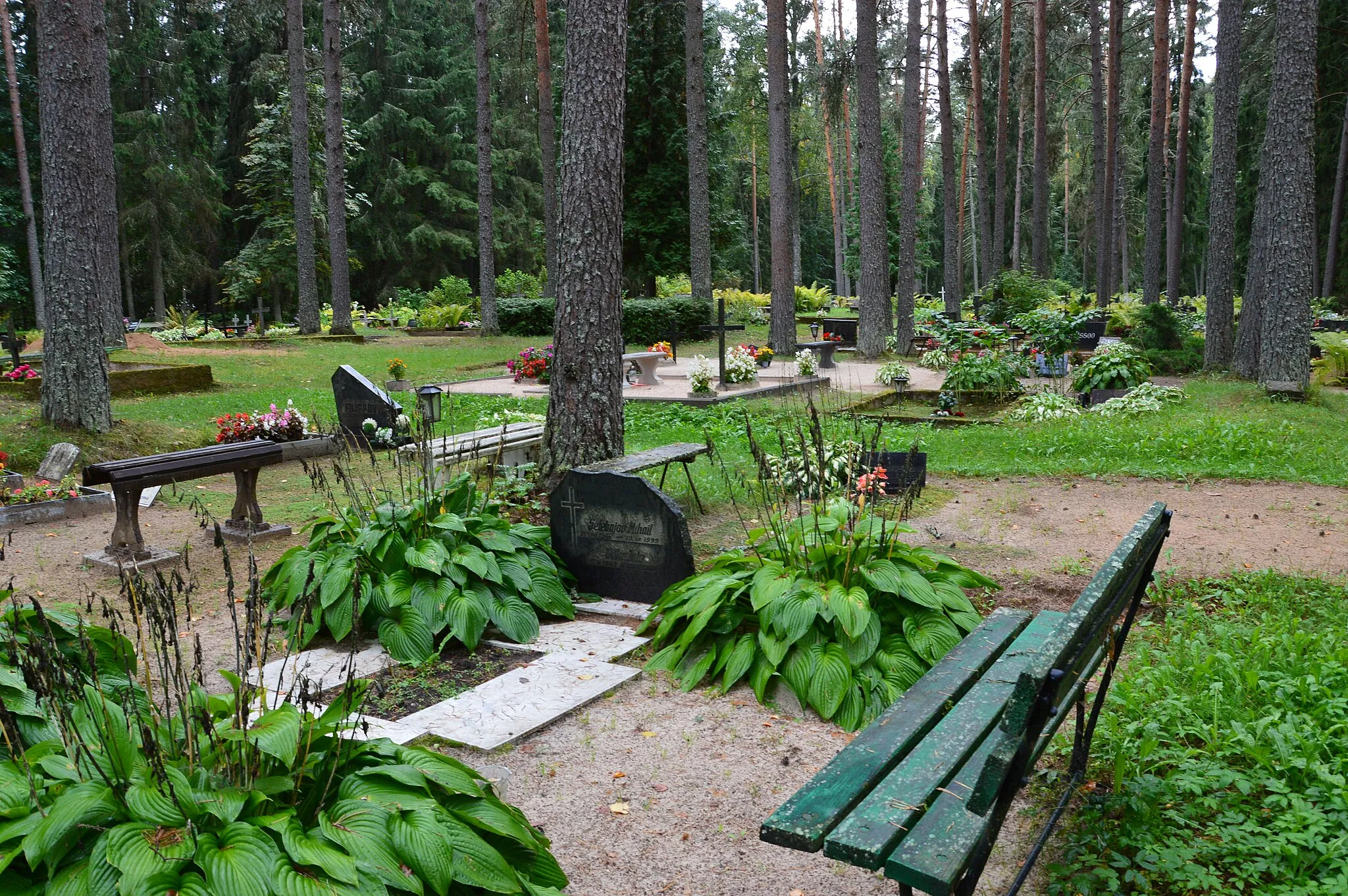 Photo showing: Ritsiku kalmistu