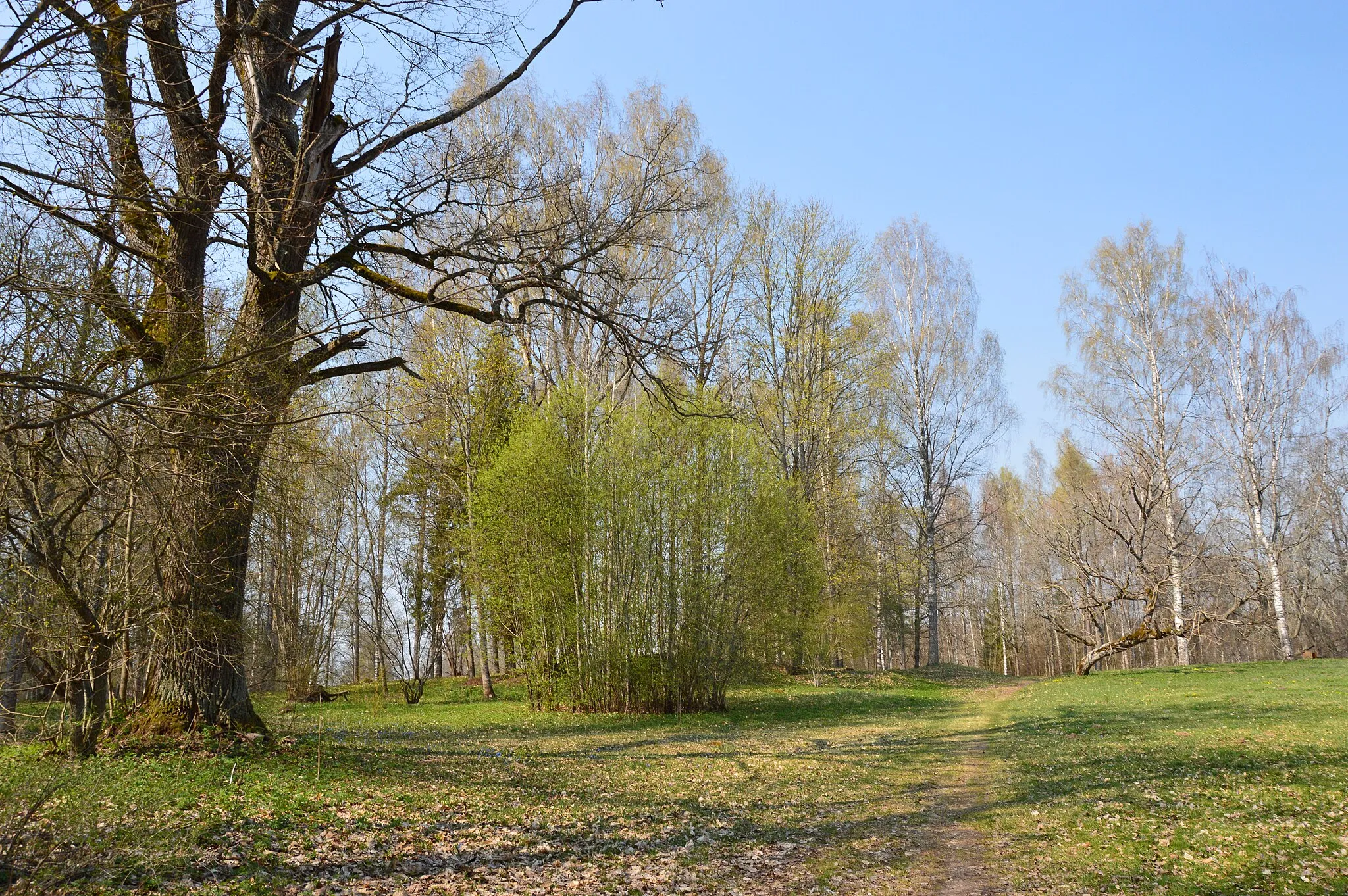 Photo showing: Mõniste mõisa park