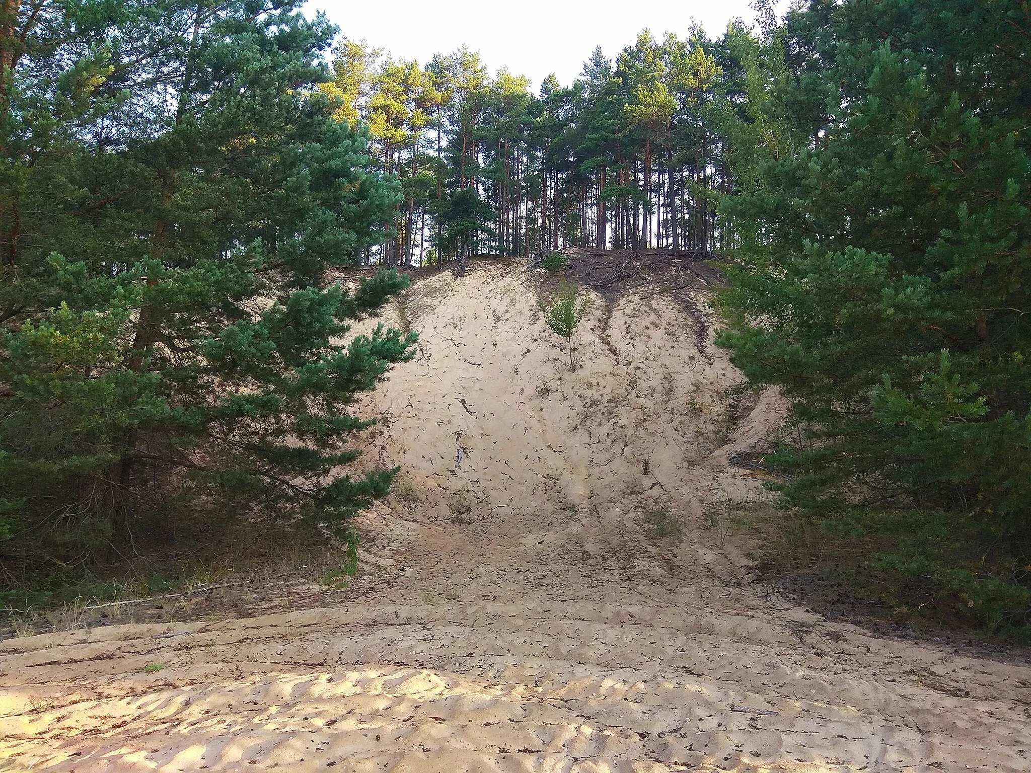 Photo showing: Lilaste Dune, 2022-08-18