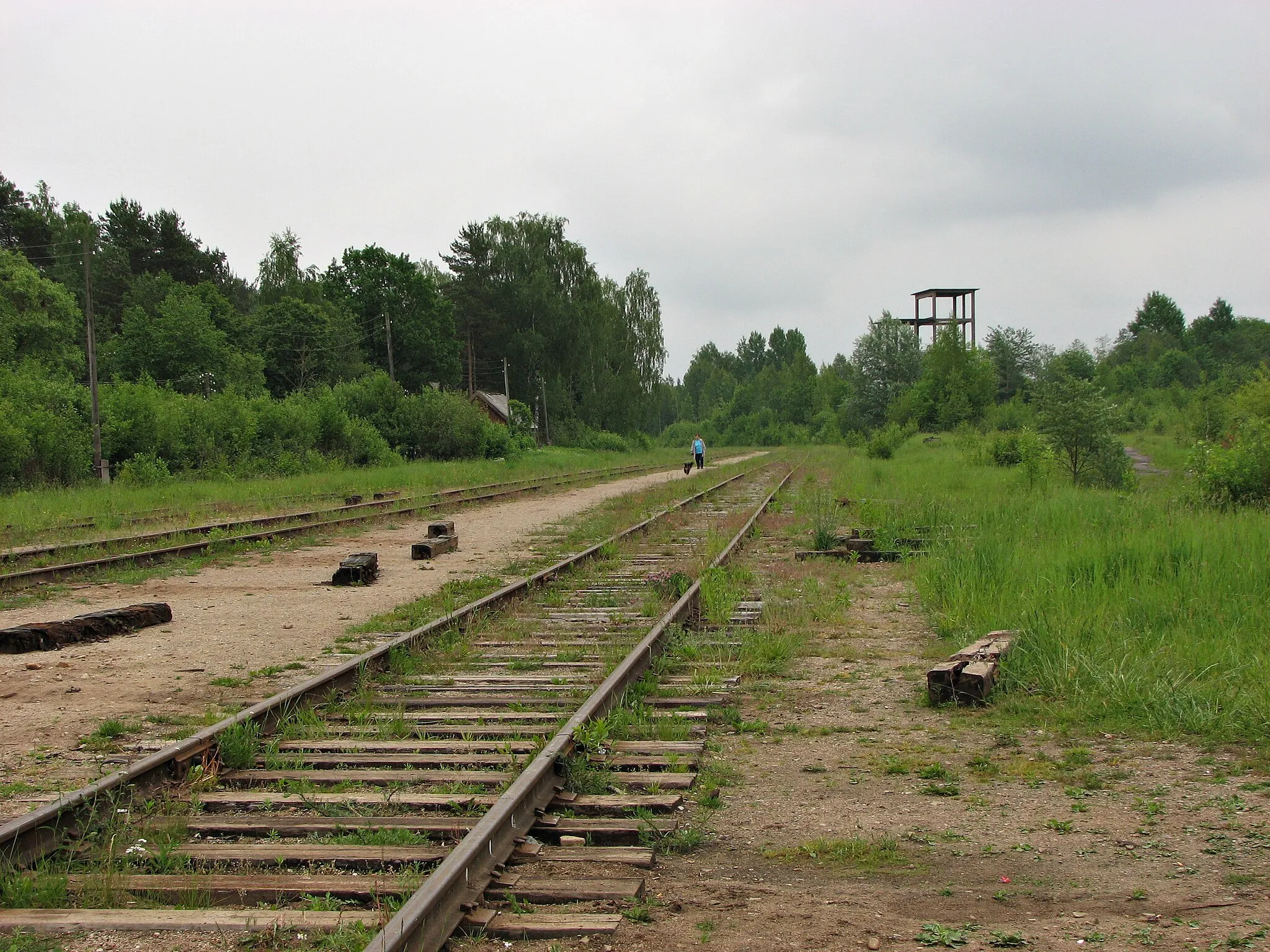 Photo showing: заброшенная ж\д ветка