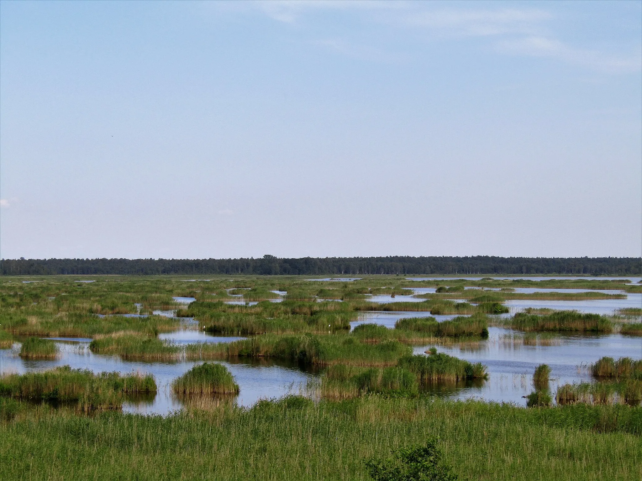 Photo showing: This is a photo of a natural heritage site in Latvia, id: