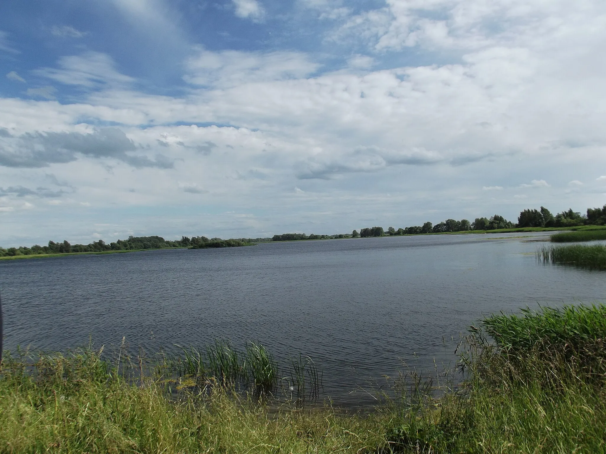 Photo showing: Pond in Baltausiai on Beržtalis River, Pakruojis district, Lithuania