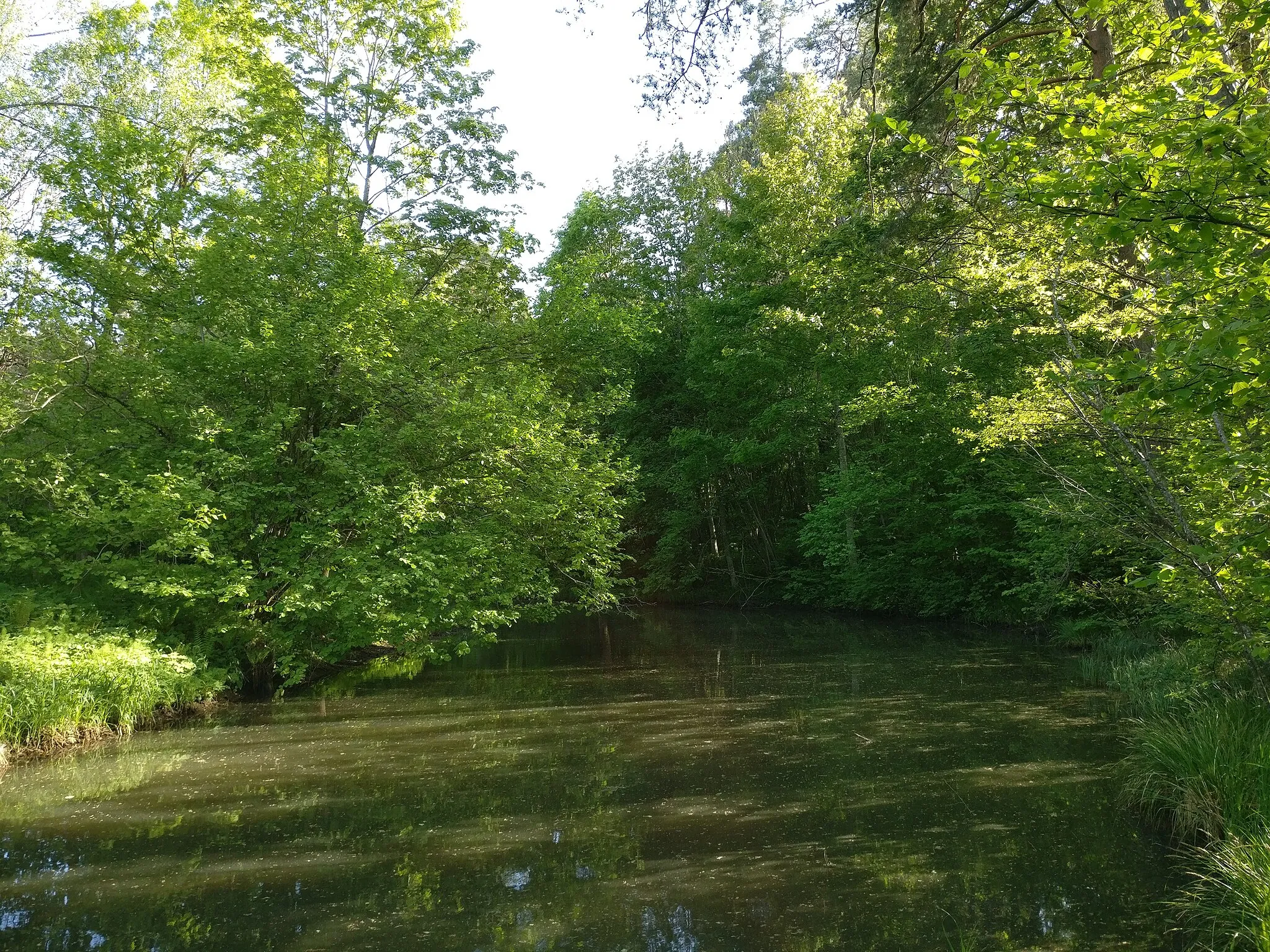 Photo showing: This is a photo of a natural heritage site in Latvia, id: