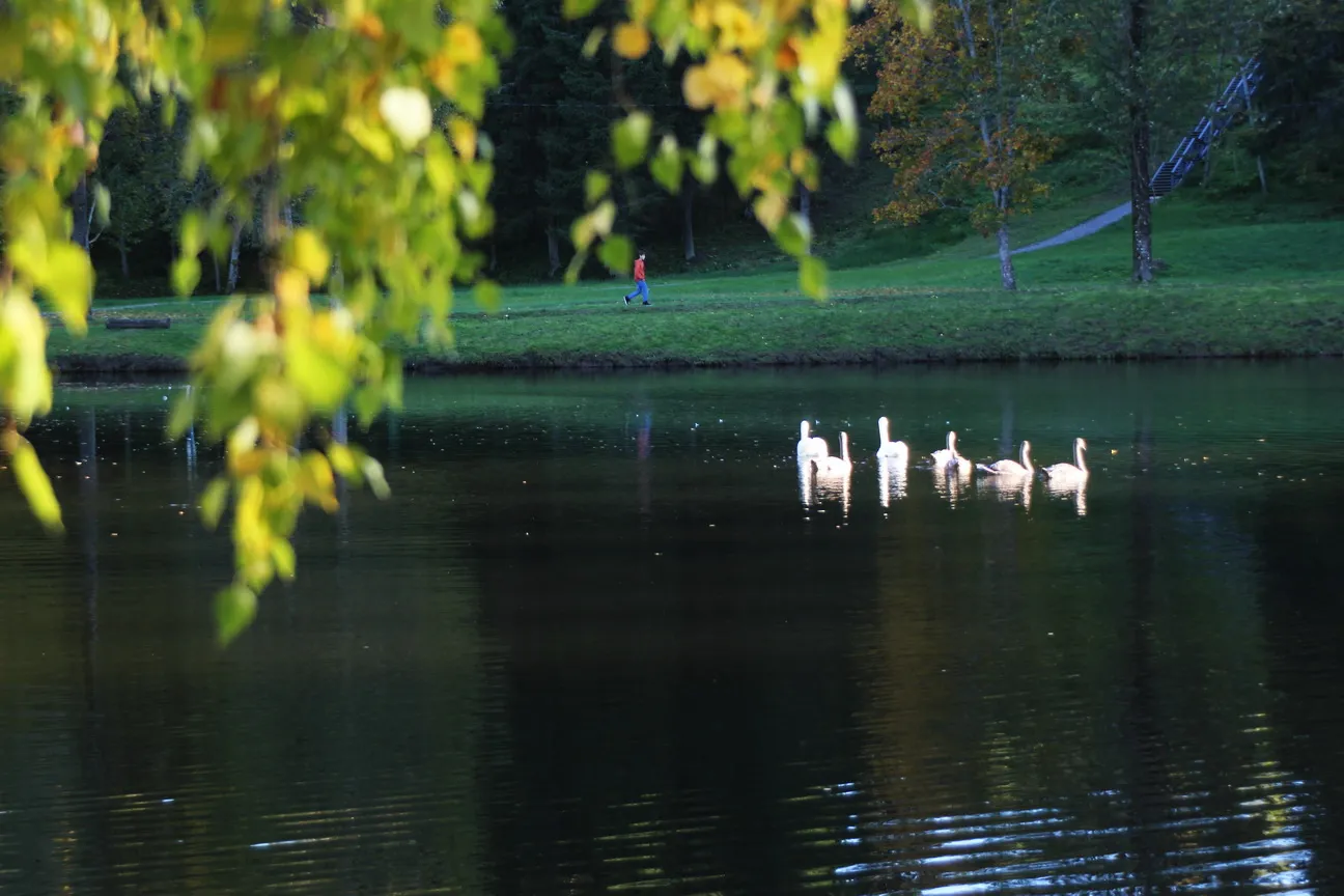 Photo showing: Līgatne