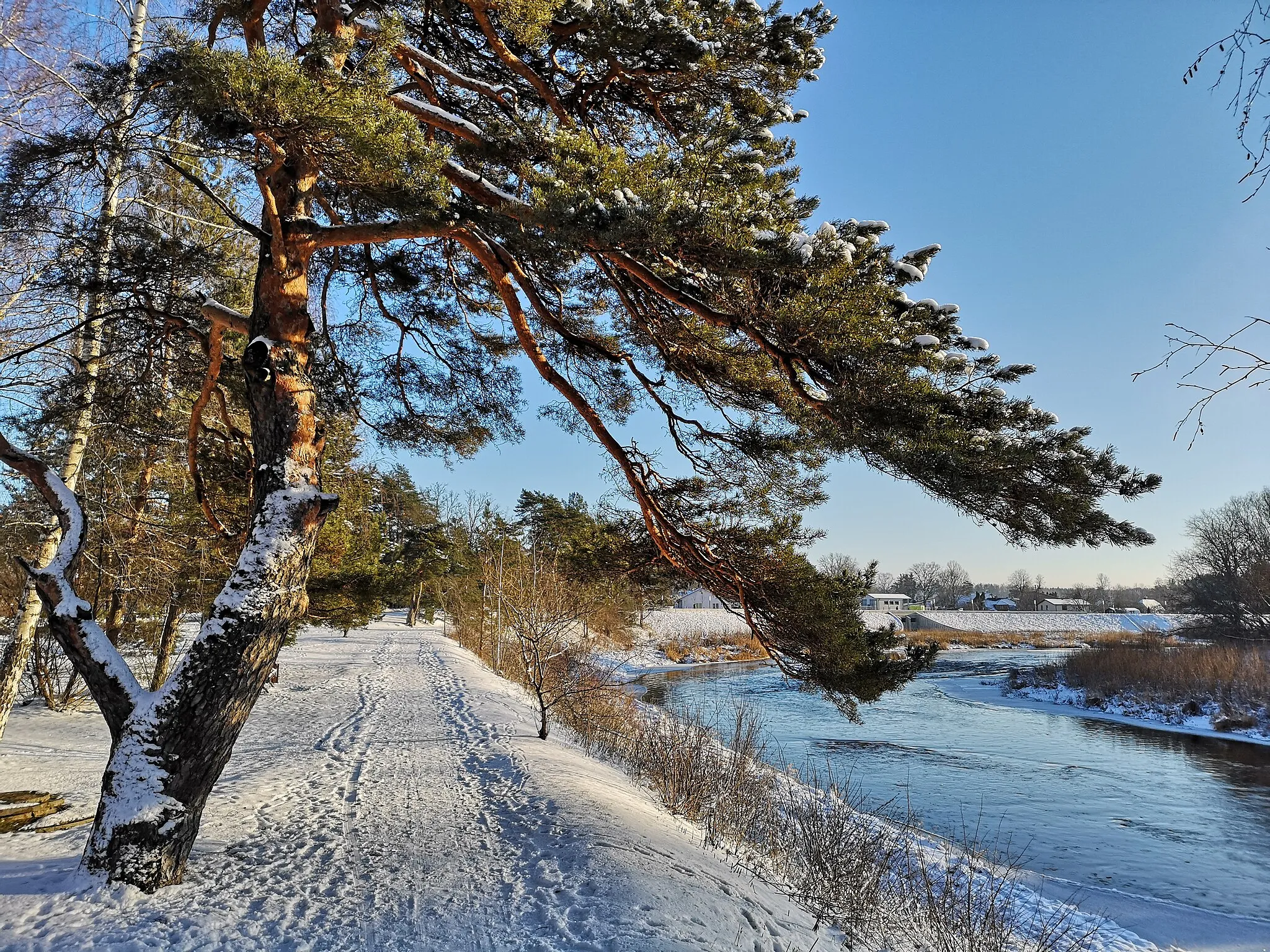 Photo showing: Ogre River