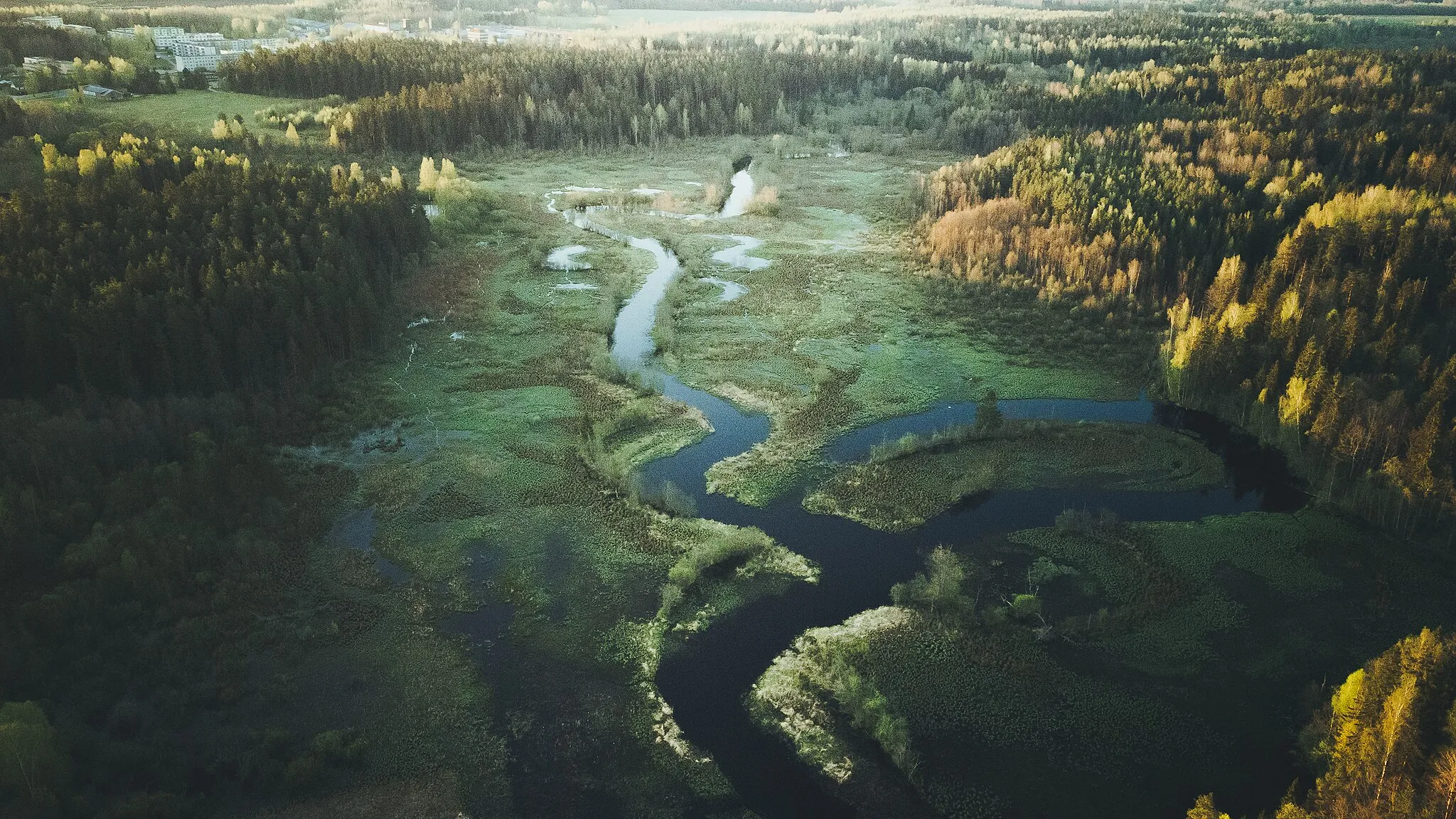 Photo showing: Õhne river in Tõrva