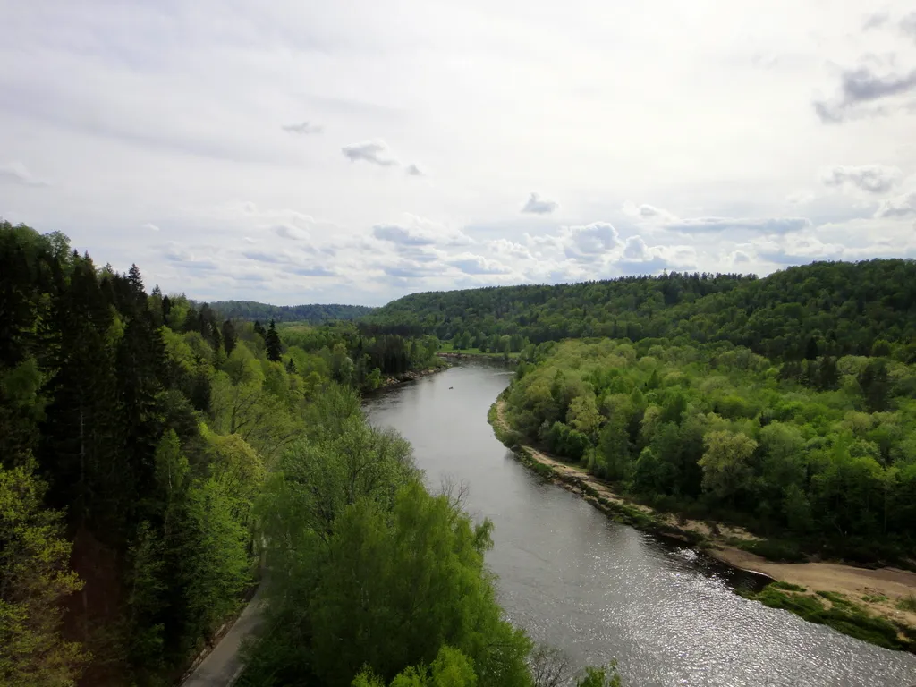 Photo showing: Gauja river