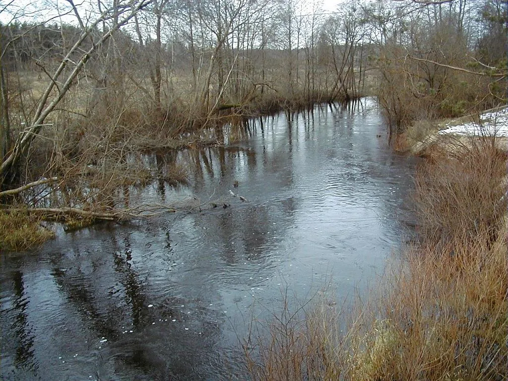 Photo showing: Misa pie Baldones - Iecavas ceļa. 2001-11-17