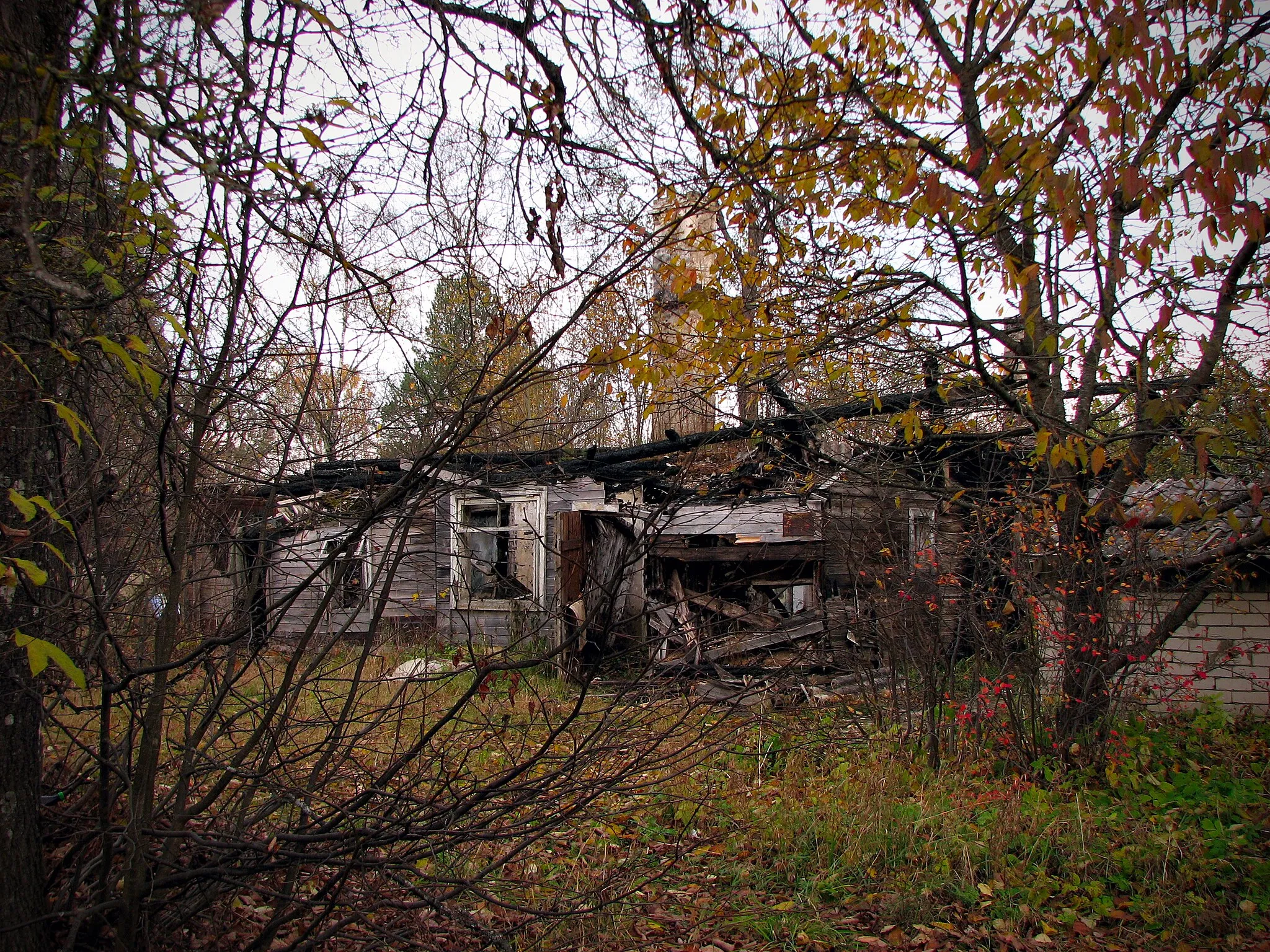 Photo showing: руины возле поместья