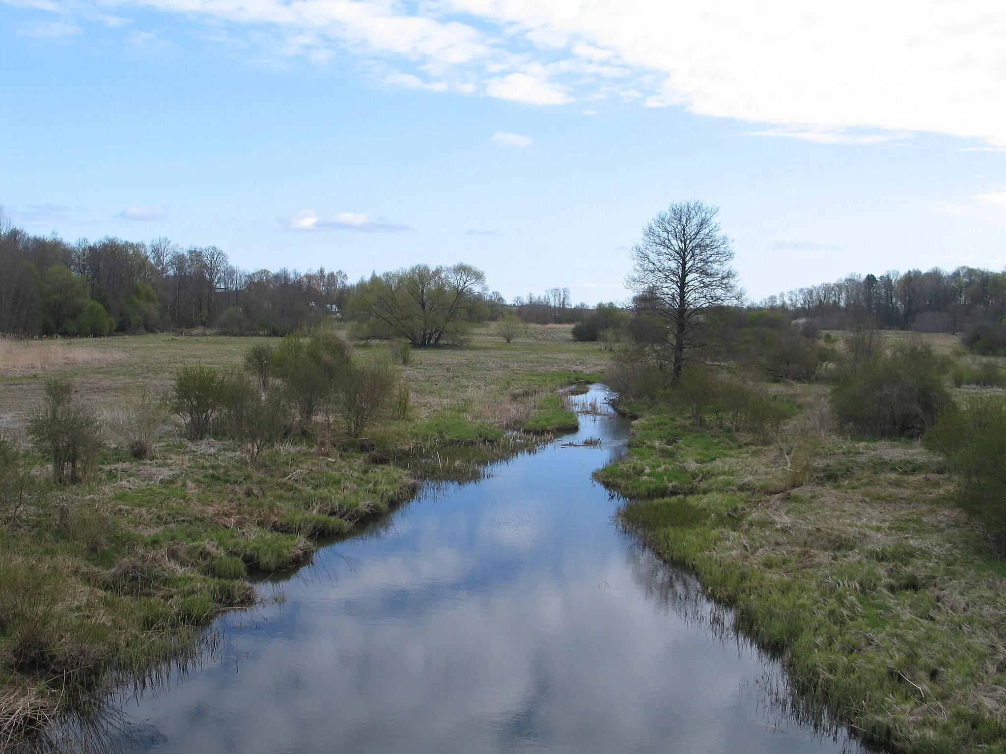 Photo showing: Tērvete River by Zaļenieki