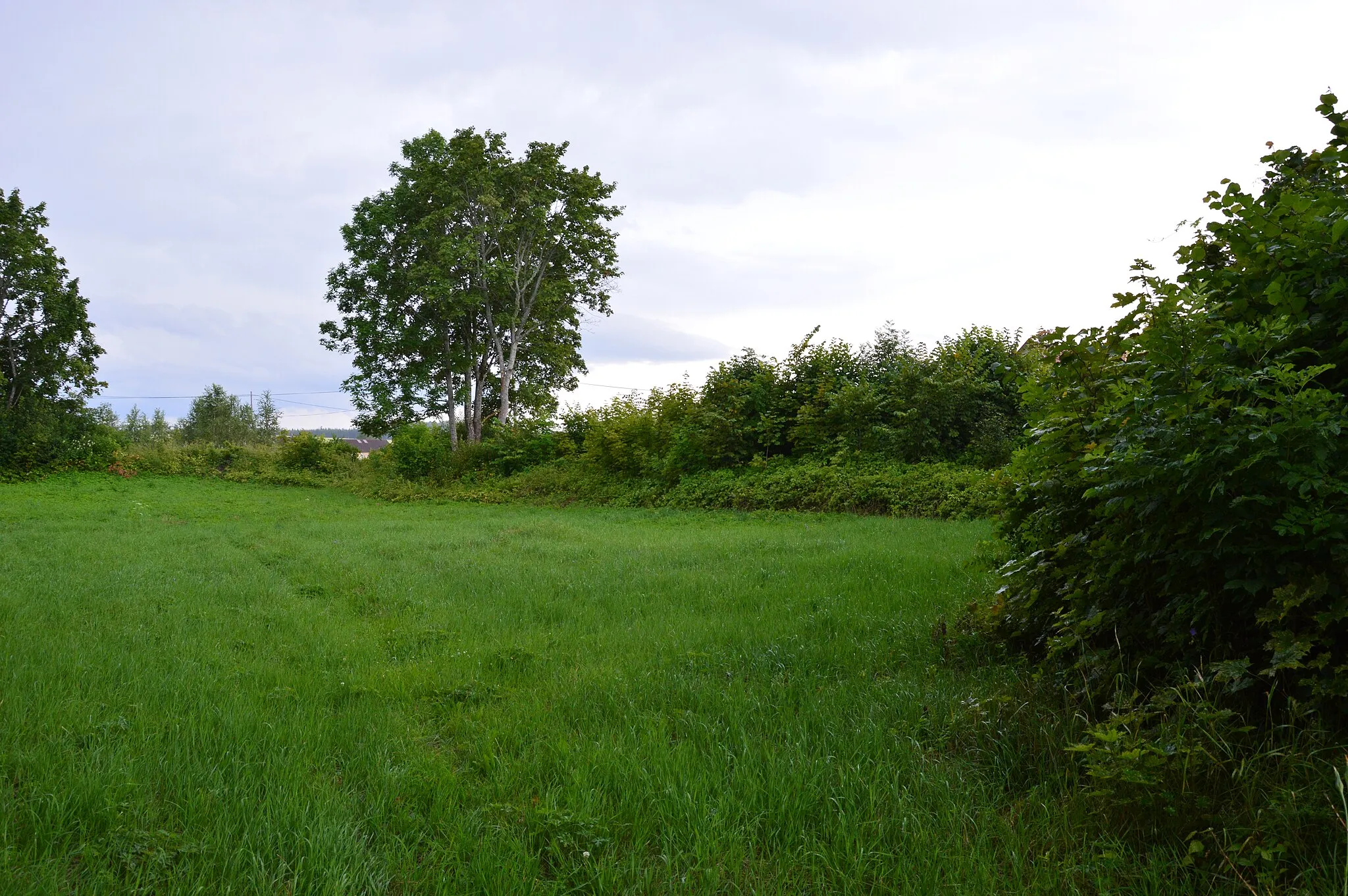 Photo showing: Selles paigas asus Mālpilsi ordulinnus.