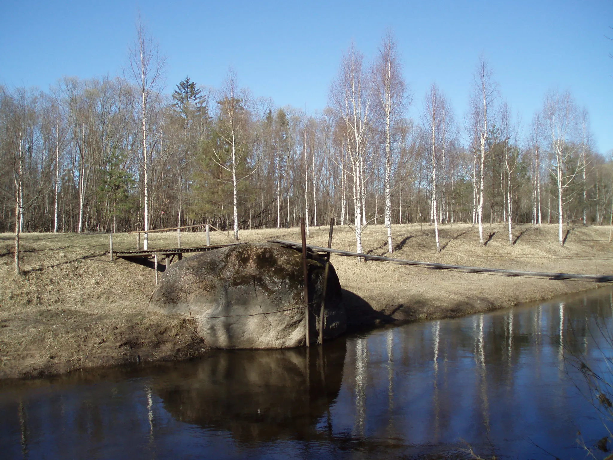 Photo showing: Velna Skroderis Kujas upes krastā. 2007. gada aprīlī.
