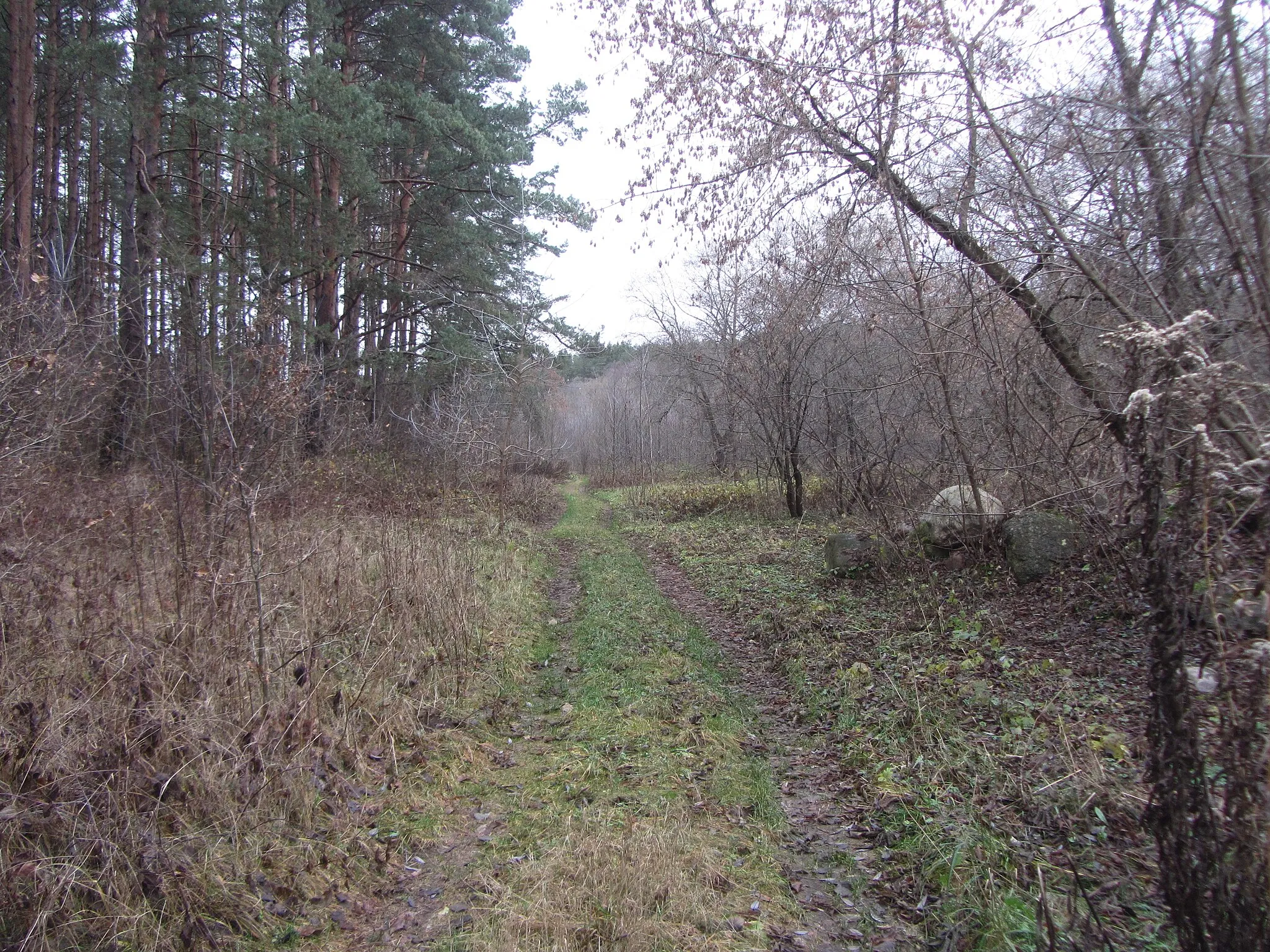 Photo showing: Grigiškės, Lithuania
