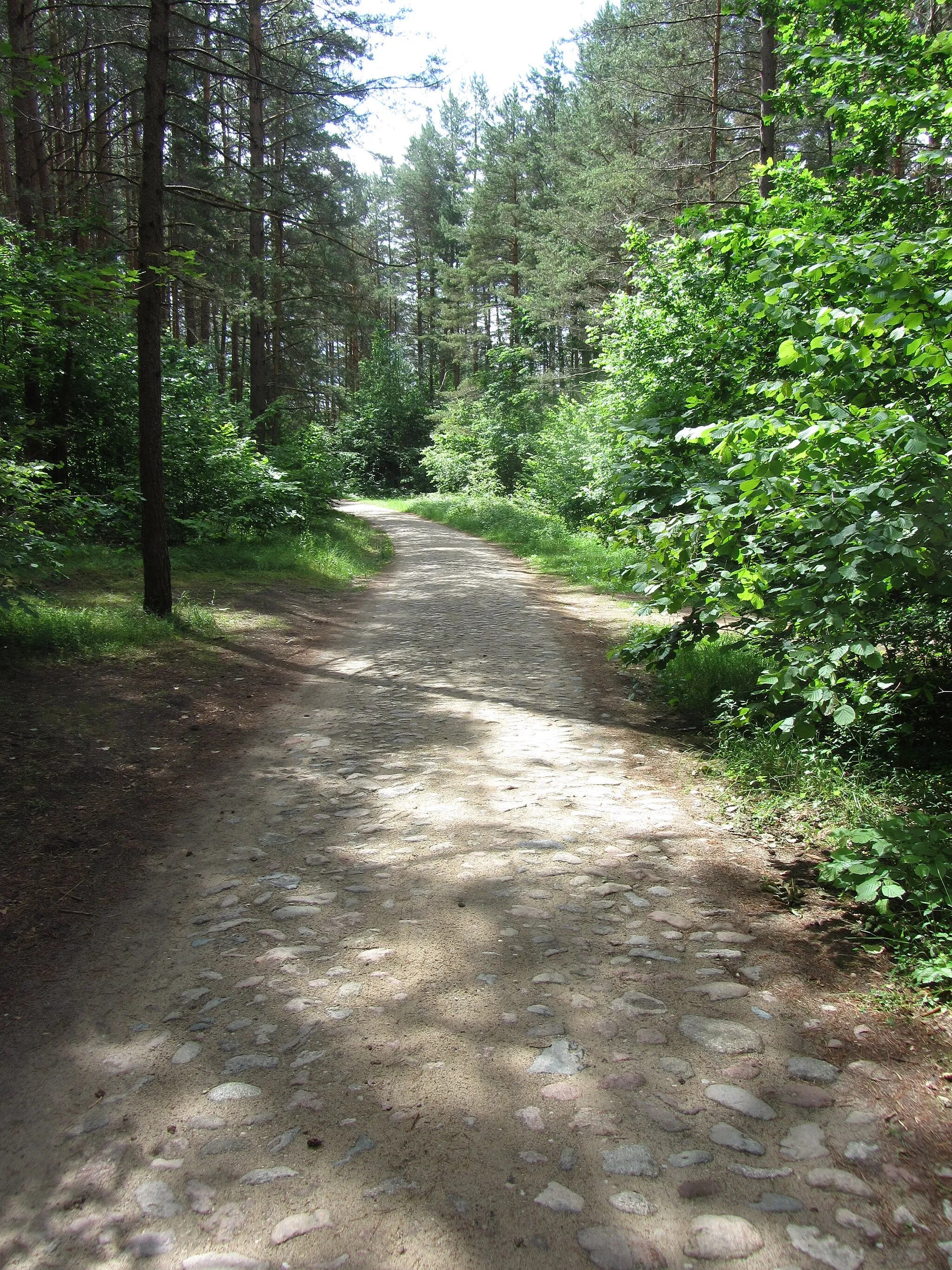 Photo showing: Zujūnų sen., Lithuania