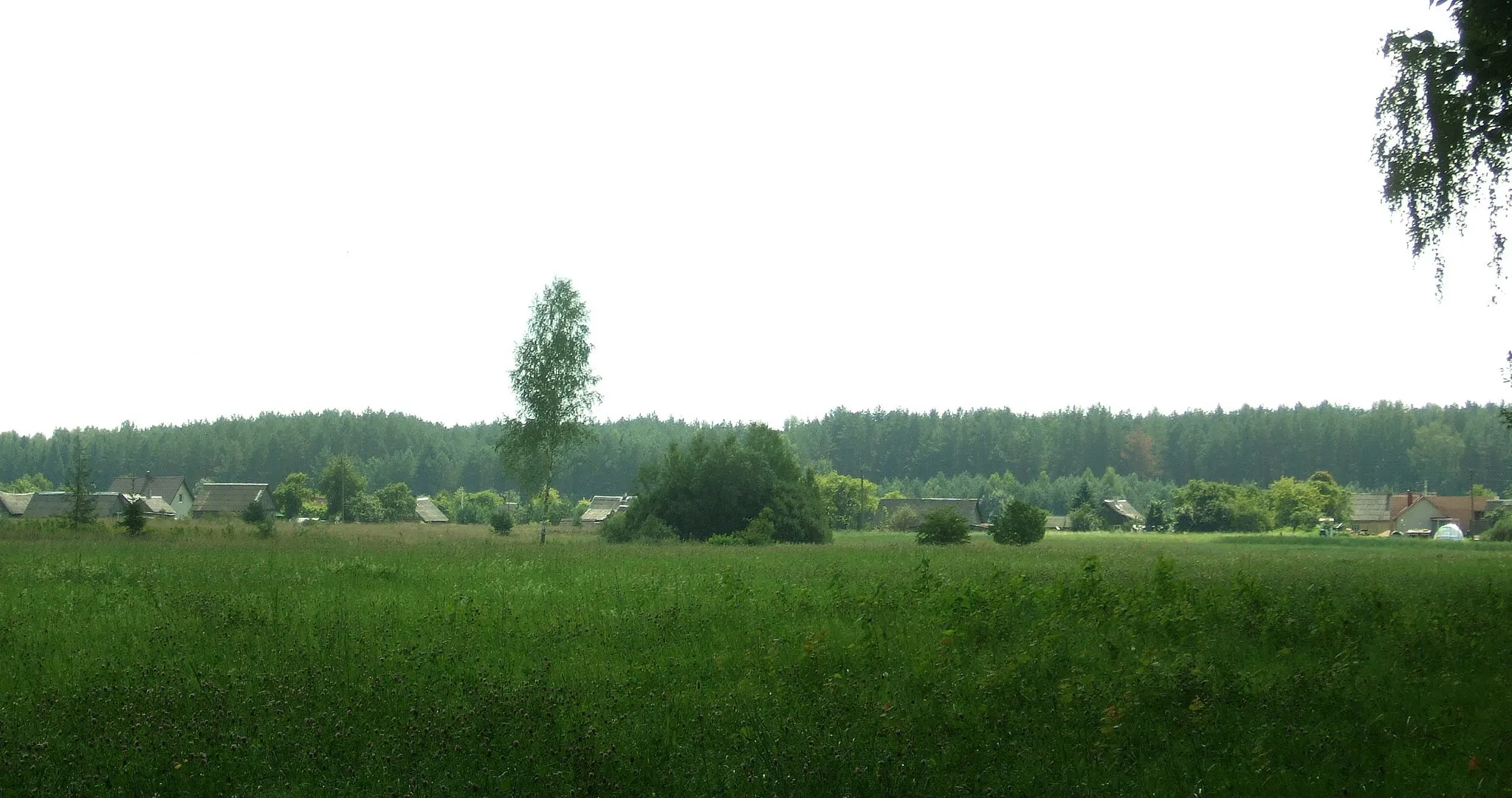 Photo showing: Terešiškės, Vilniaus raj., Marijampolio sen.