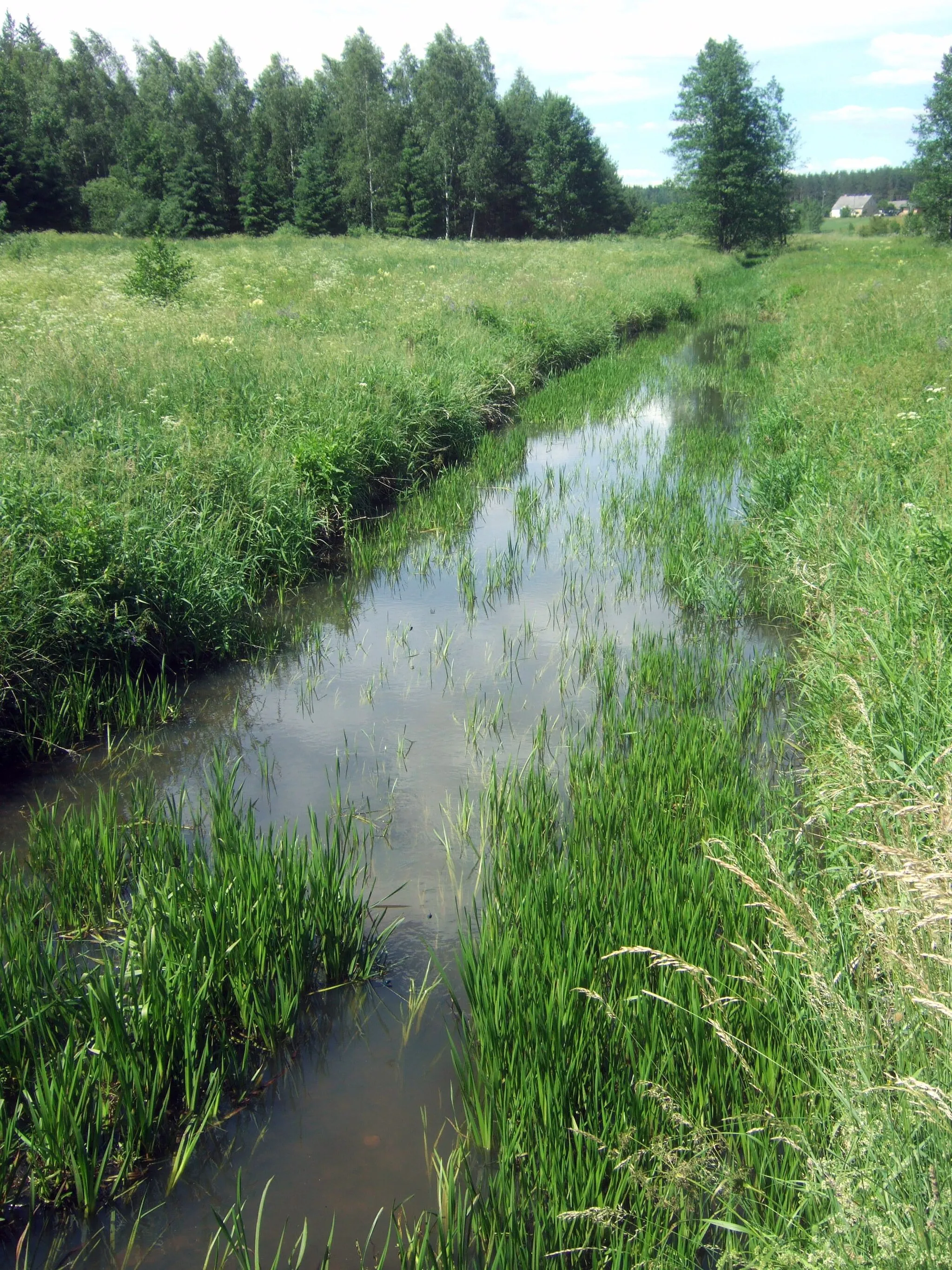 Photo showing: Galinės (Rudamina) upelis nuo tilto kelyje Karužiškės-Terešiškės.