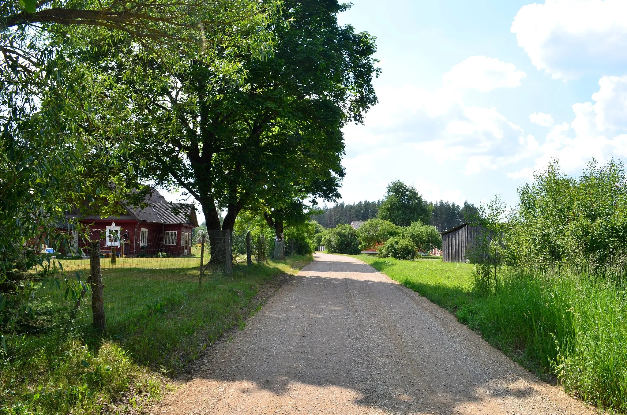 Photo showing: Rudnios k., Gerviškių sen., Šalčininkų raj.