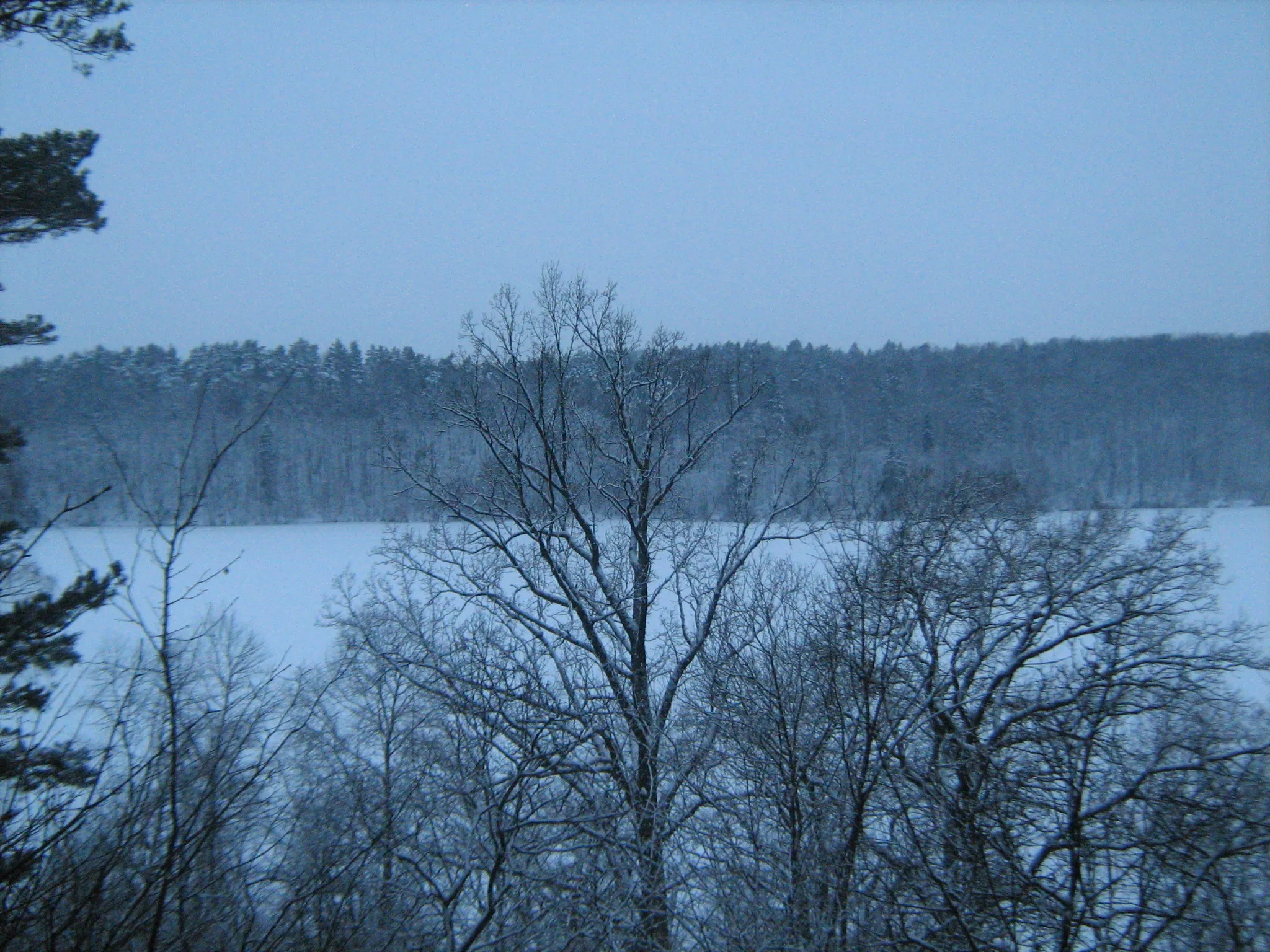 Photo showing: Balsys lake - Žalieji ežerai (Green Lakes) (Winter)