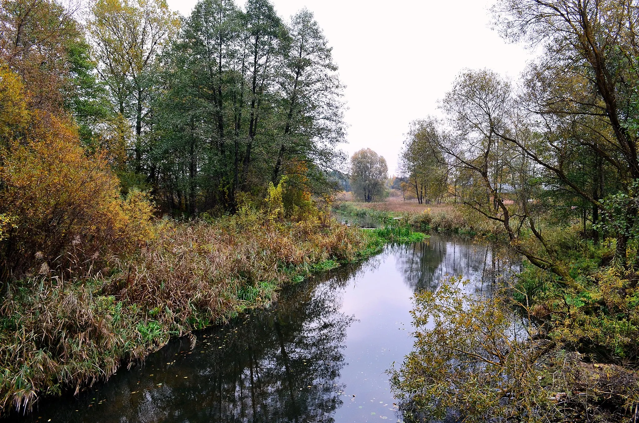 Photo showing: Vokė ties Vaidotais, Vilniaus r.