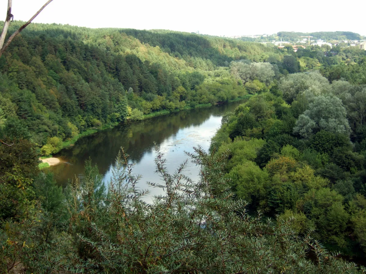 Photo showing: Vaizdas nuo Plikakalnio atodangos viršaus