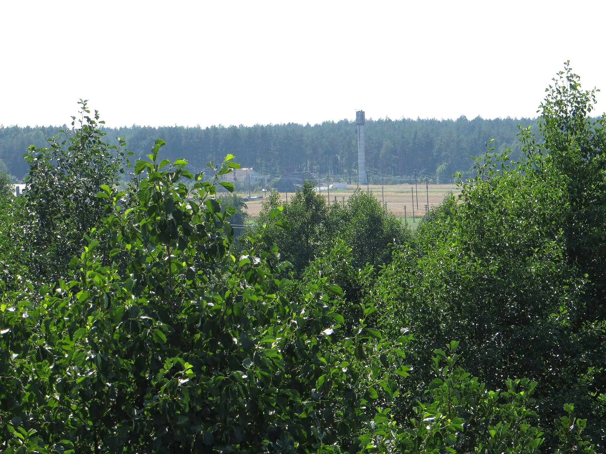 Photo showing: Gerviškės, Lithuania