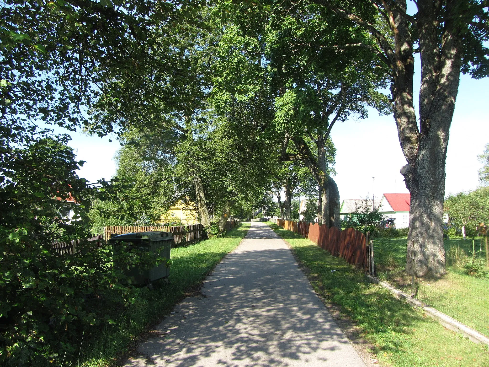 Photo showing: Pirčiupiai 65446, Lithuania