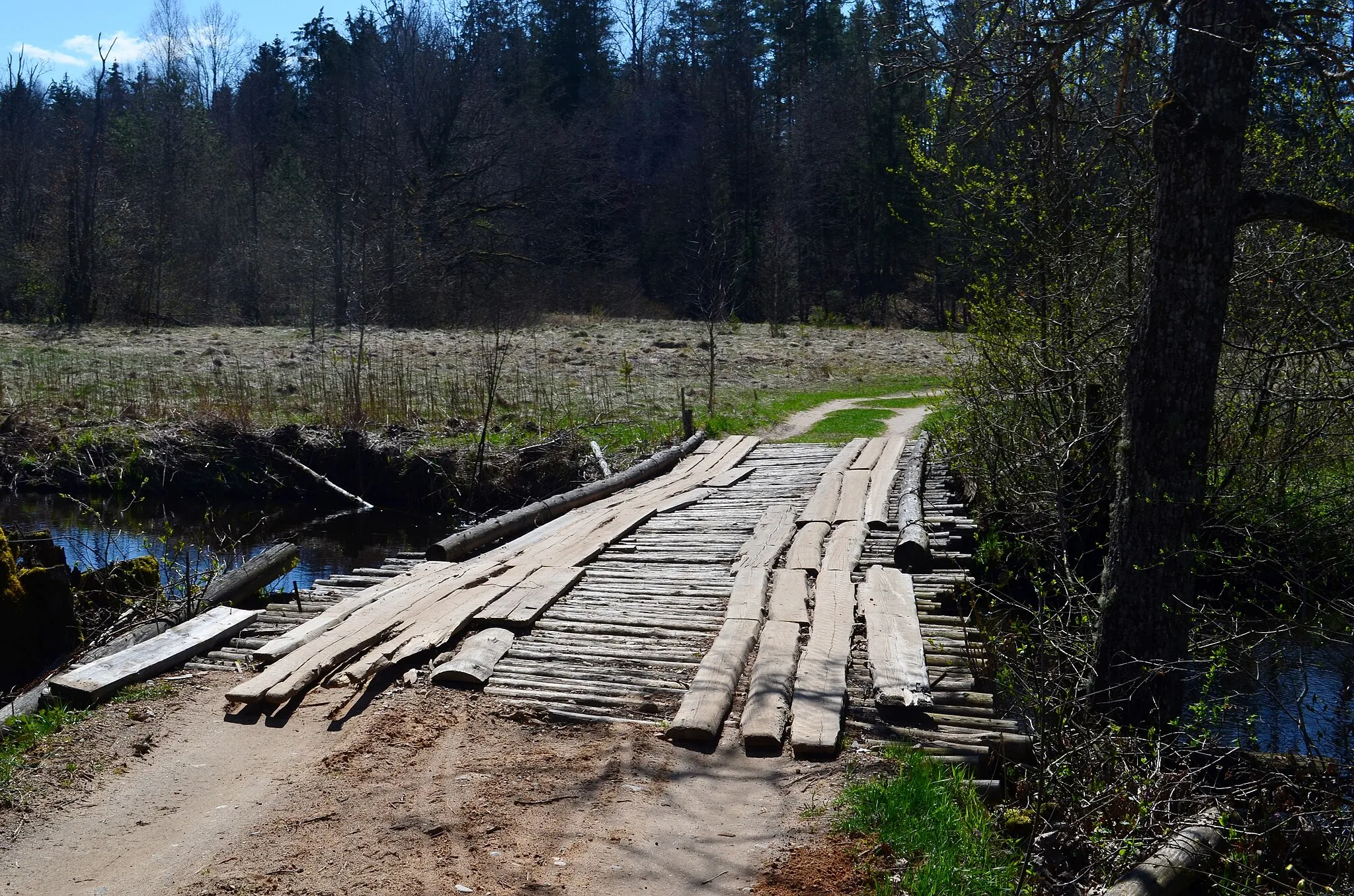 Photo showing: Tiltas per Visinčią Visinčios kaime, Šalčininkų r.