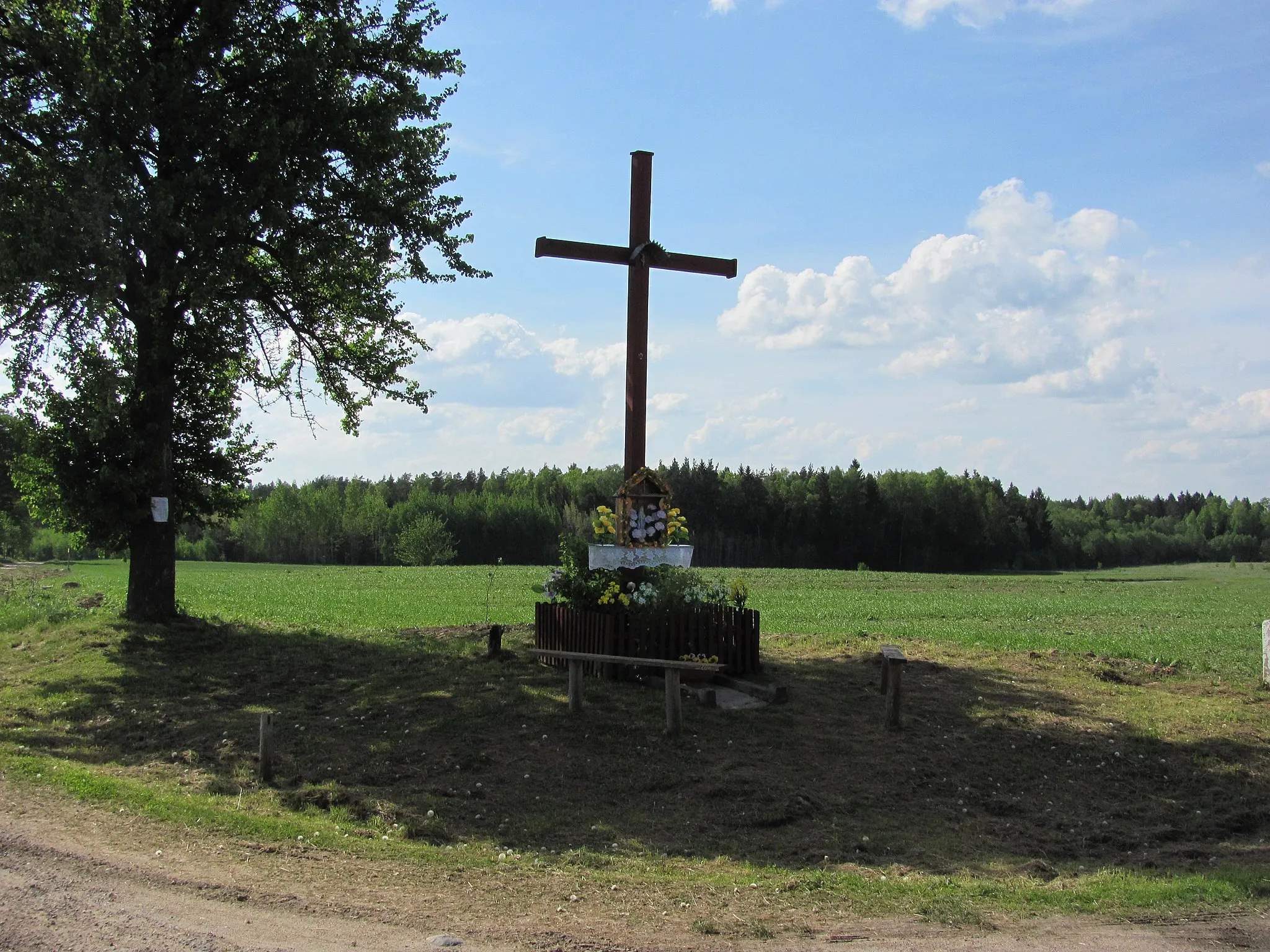 Photo showing: Vyžiškės, Lithuania