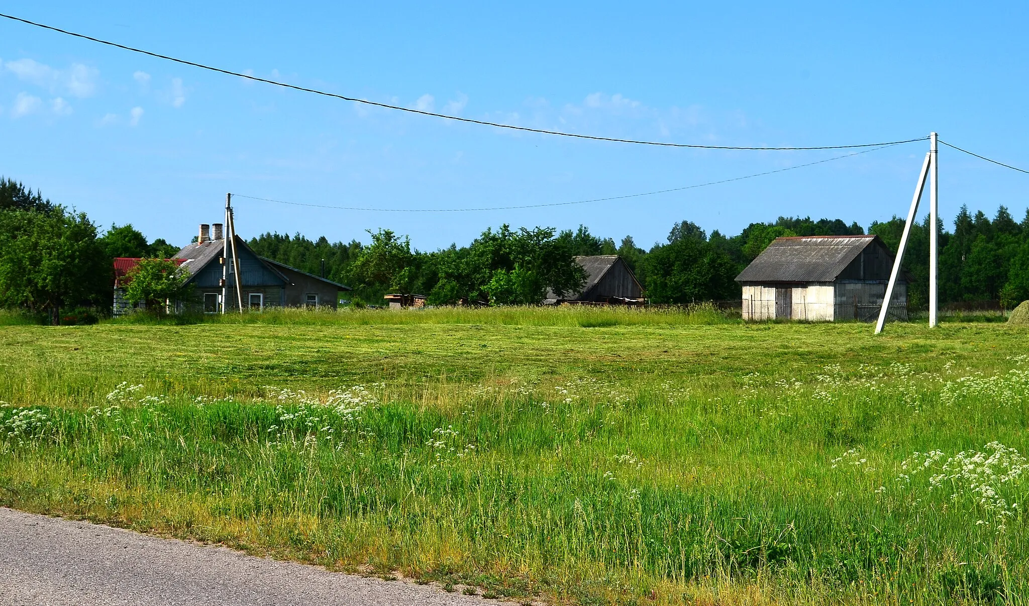 Photo showing: Pauliukonys, Vilniaus raj.